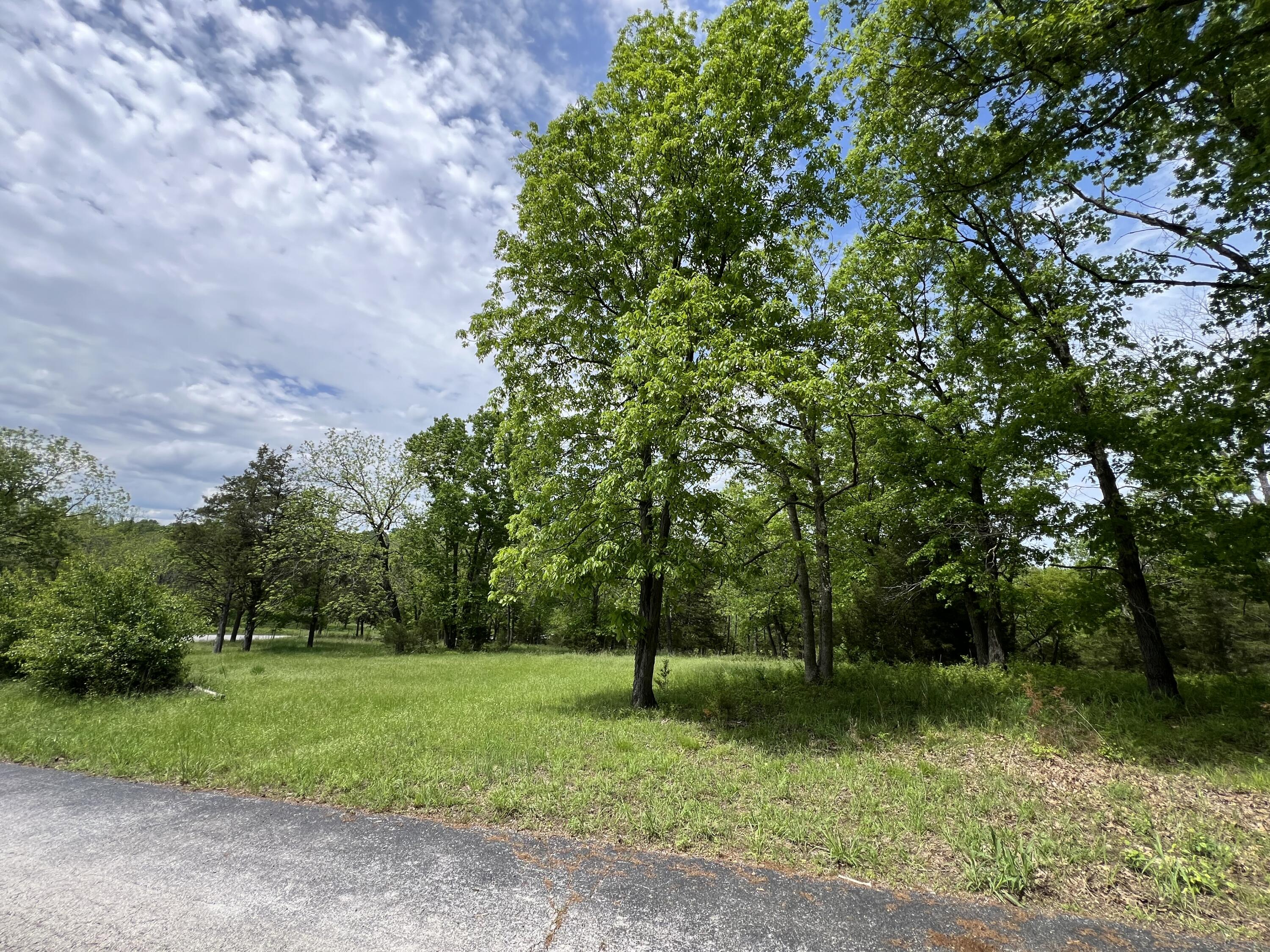 Photo 6 - Land for sale – 000  Fi Anna Lane  Ozark, MO