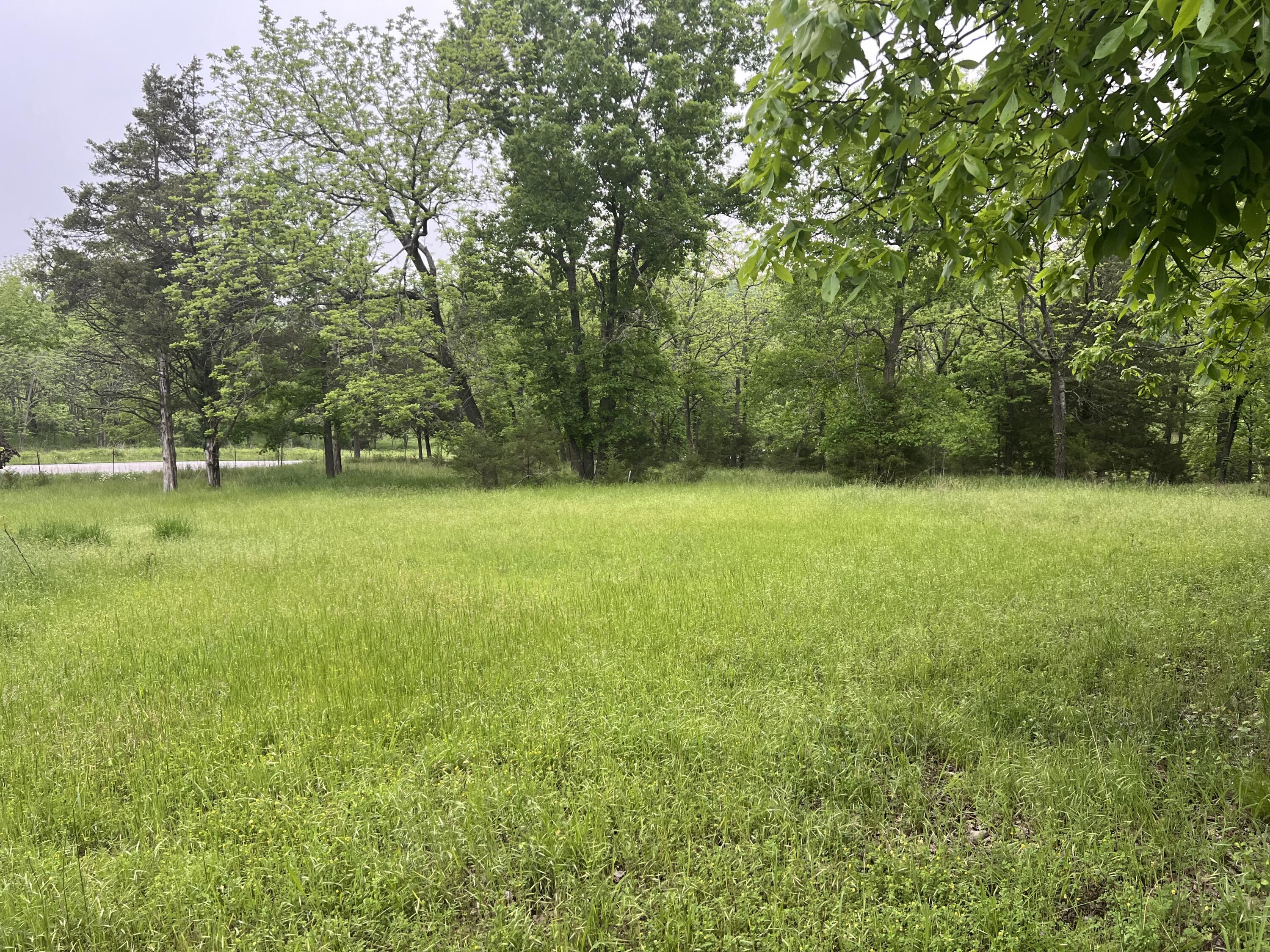 Photo 18 - Land for sale – 000  Fi Anna Lane  Ozark, MO