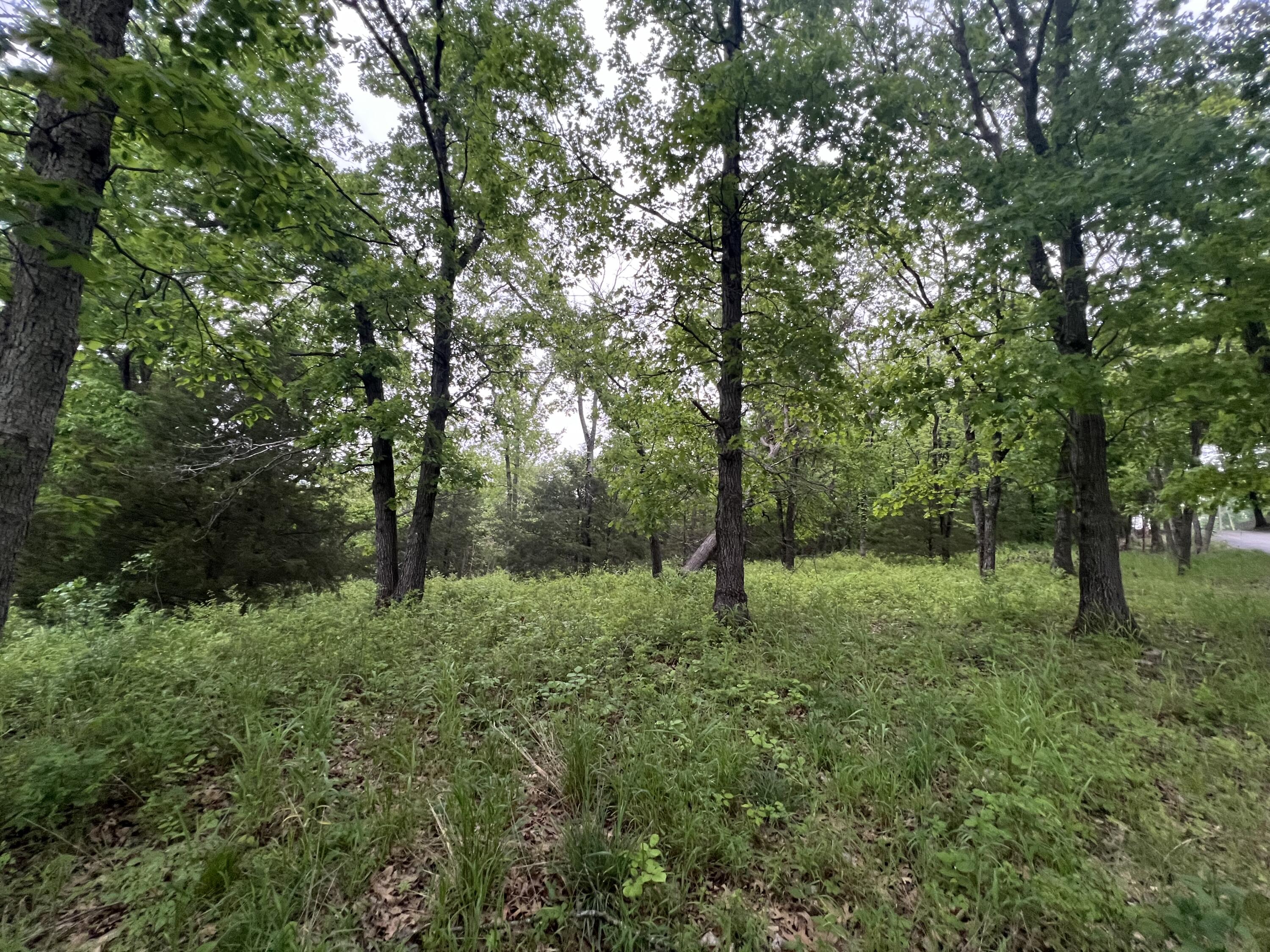 Photo 13 - Land for sale – 000  Fi Anna Lane  Ozark, MO