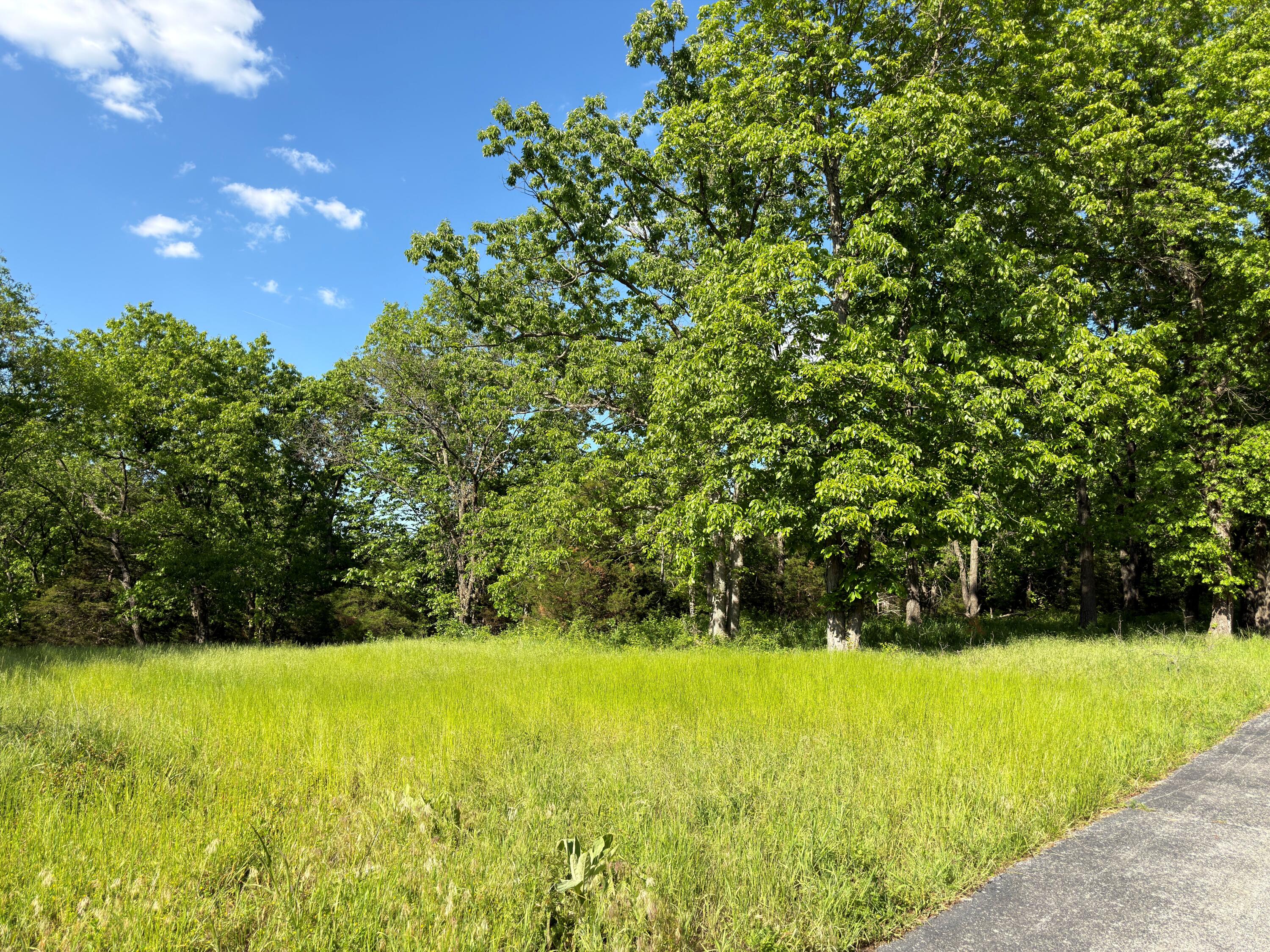 Photo 3 - Land for sale – 000  Fi Anna Lane  Ozark, MO