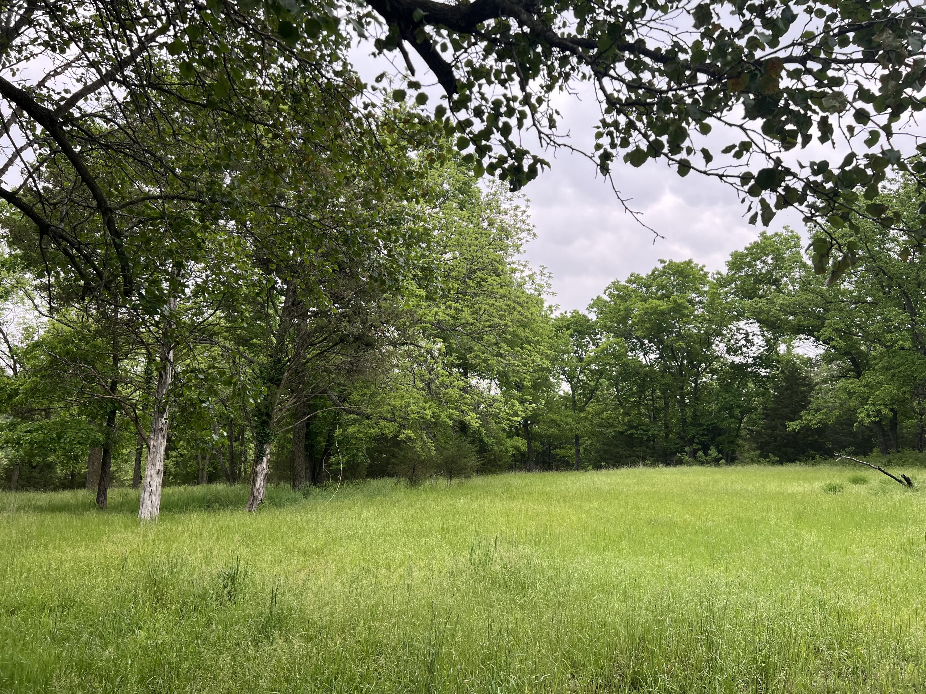 Photo 7 - Land for sale – 000  Fi Anna Lane  Ozark, MO