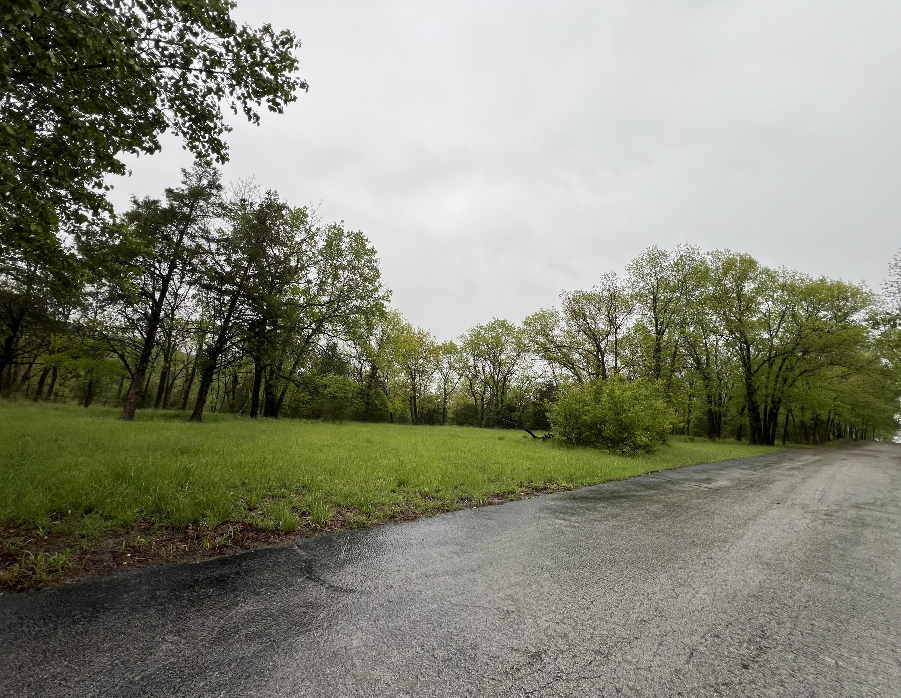 Photo 5 - Land for sale – 000  Fi Anna Lane  Ozark, MO