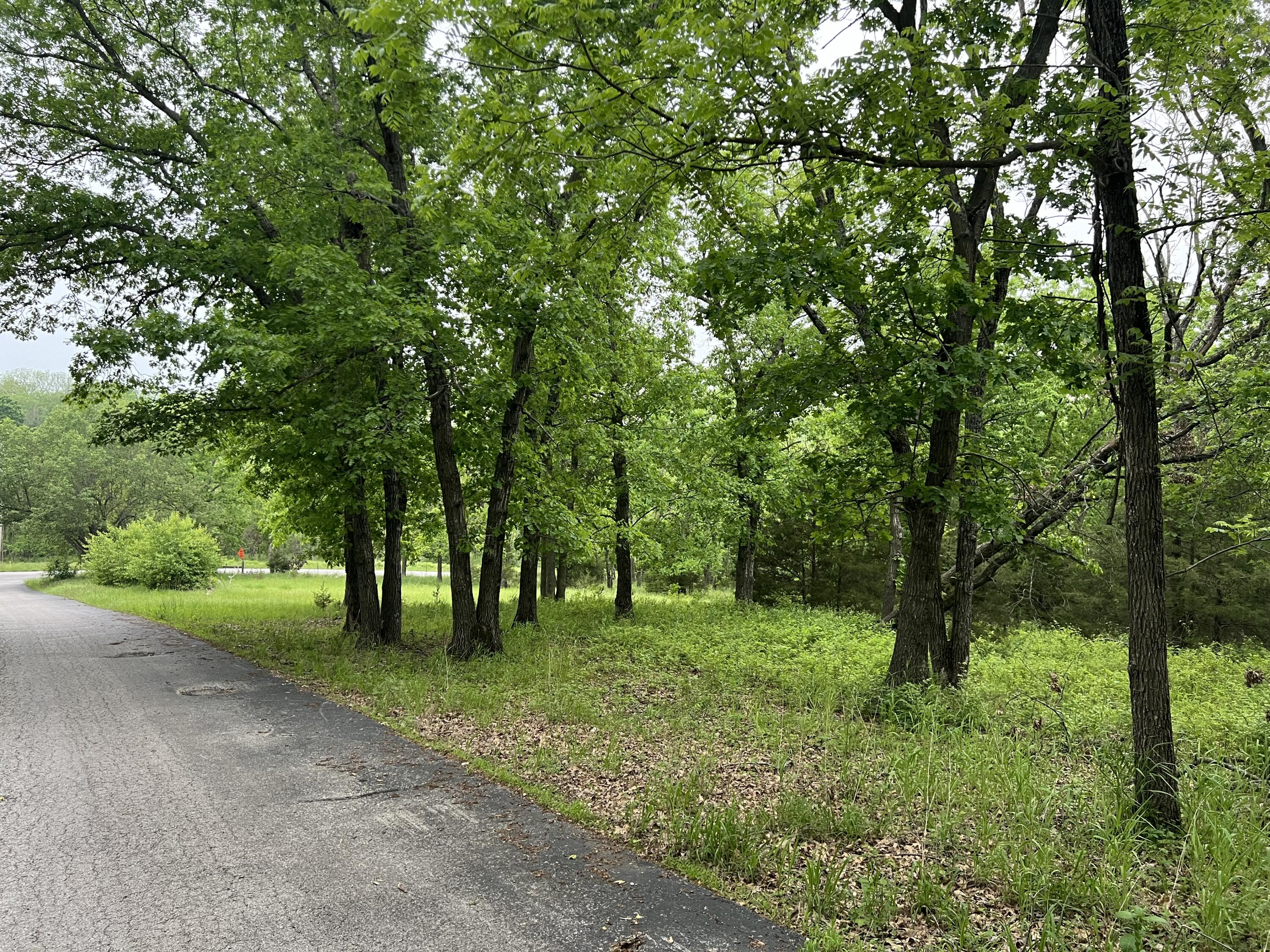 Photo 17 - Land for sale – 000  Fi Anna Lane  Ozark, MO
