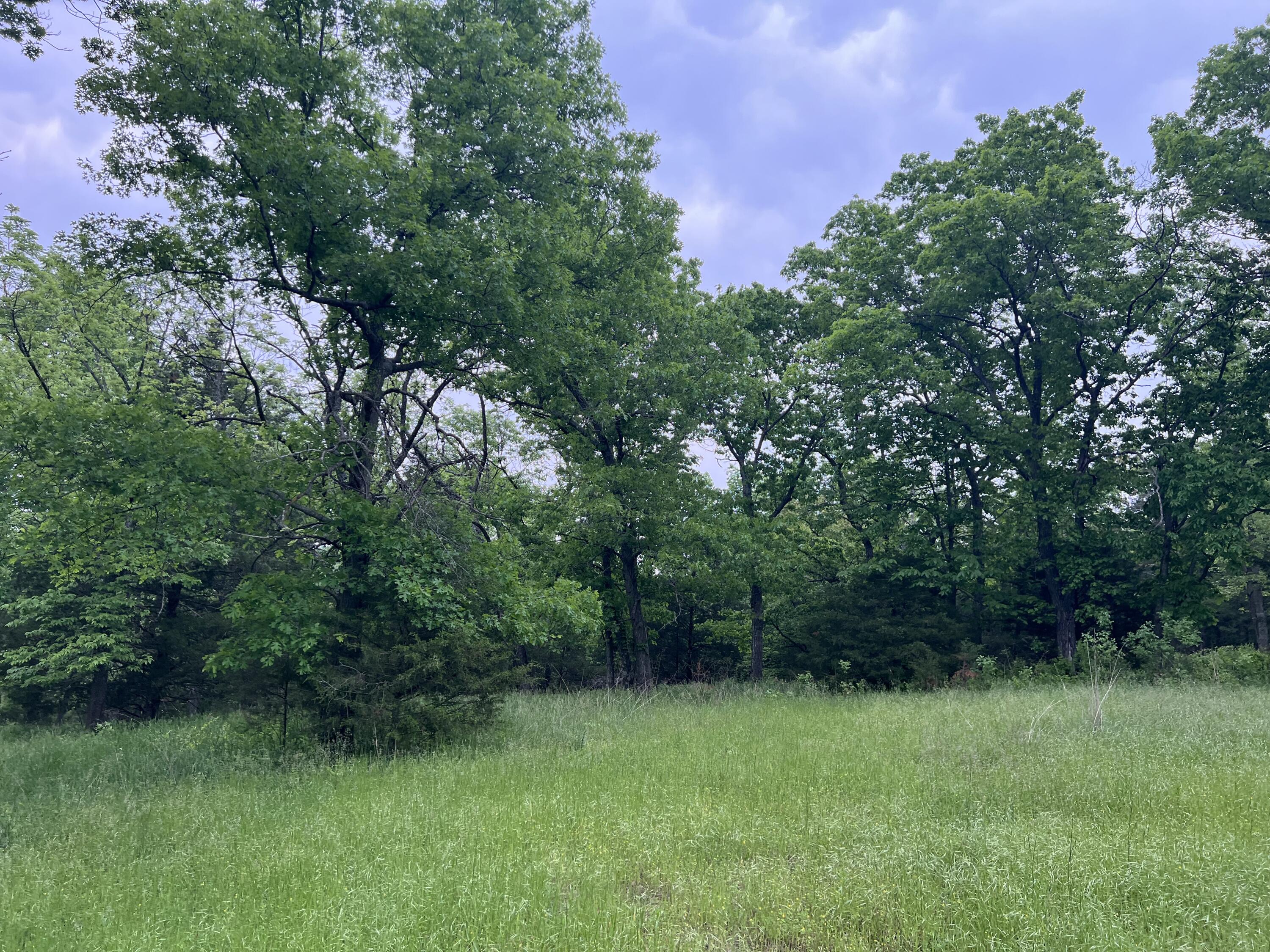 Photo 9 - Land for sale – 000  Fi Anna Lane  Ozark, MO
