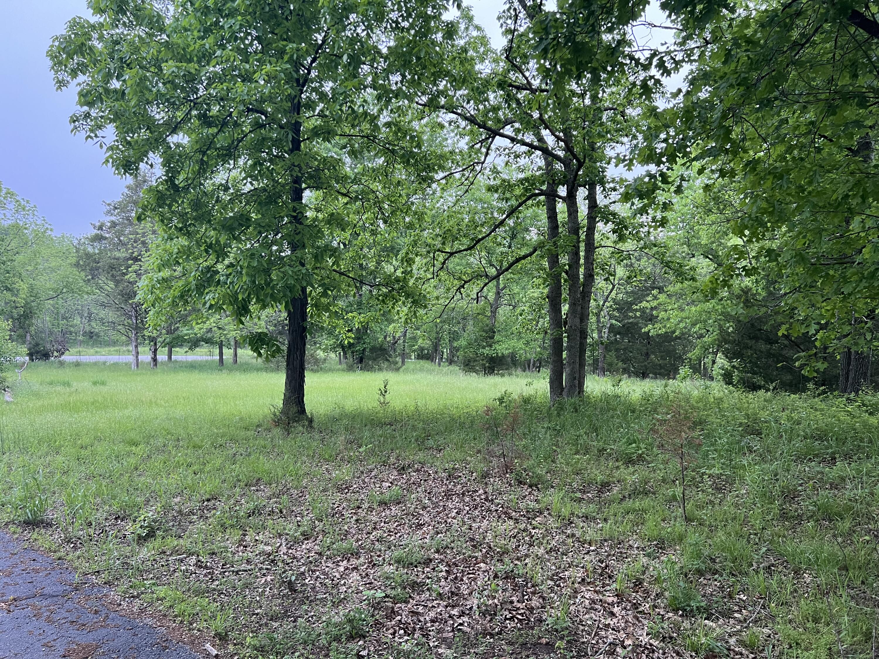 Photo 14 - Land for sale – 000  Fi Anna Lane  Ozark, MO