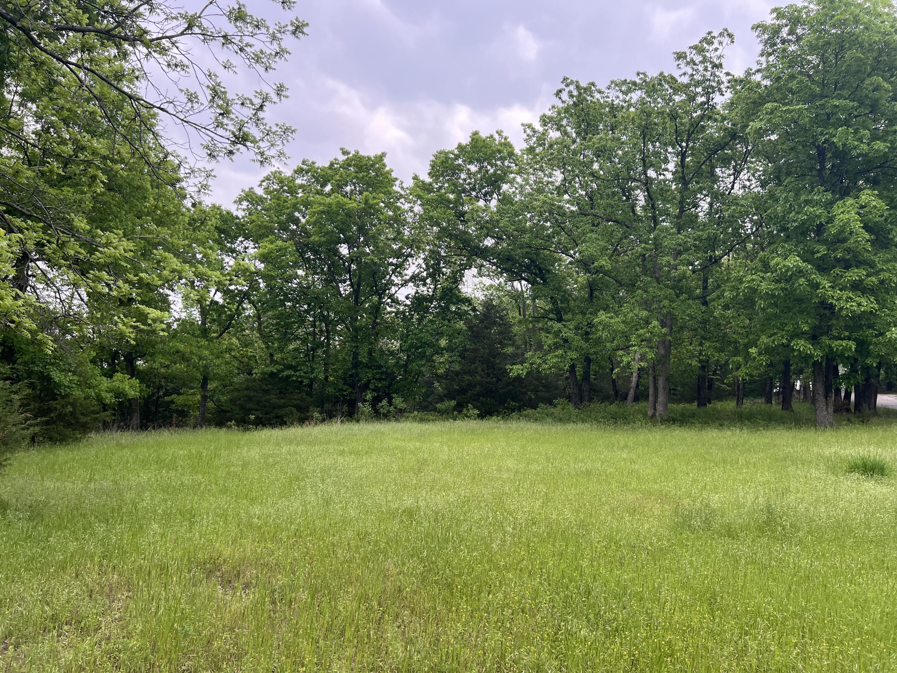 Photo 4 - Land for sale – 000  Fi Anna Lane  Ozark, MO