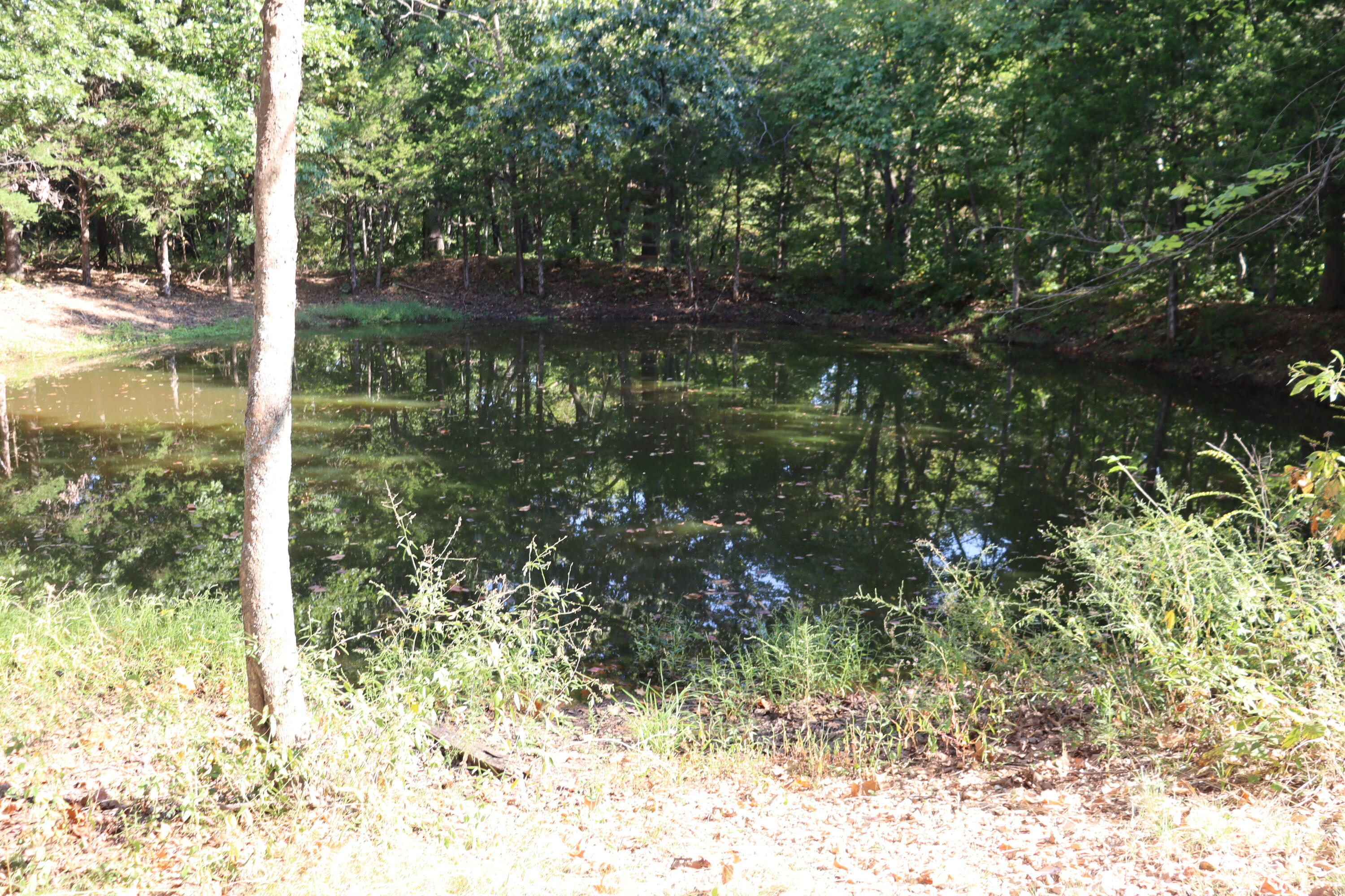 Photo 35 - Residential for sale – 1255  Saddle Club Road  Fordland, MO