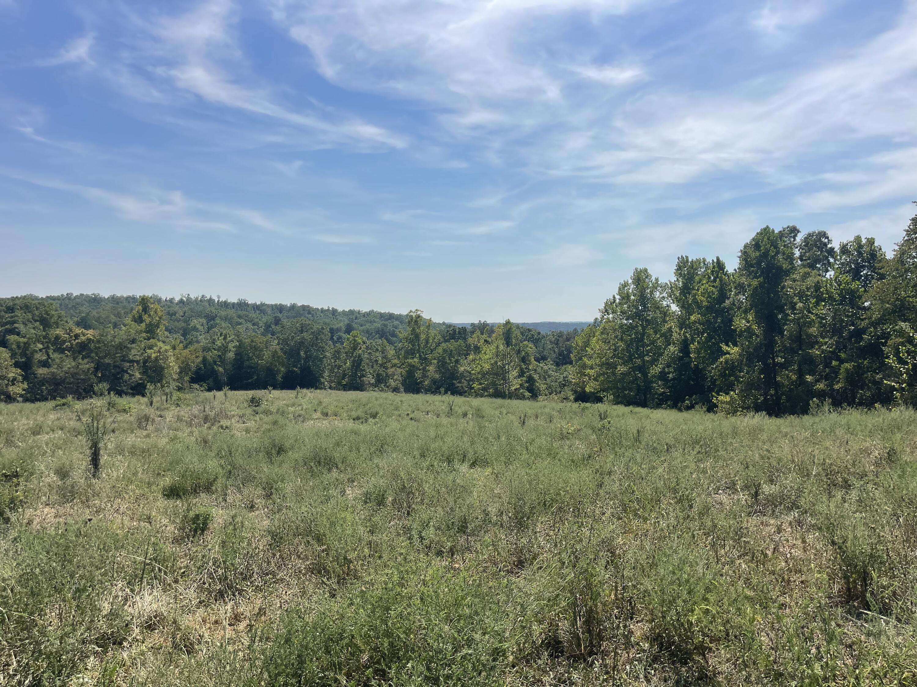 Photo 22 - Land for sale – 000  County Road 114   Ava, MO