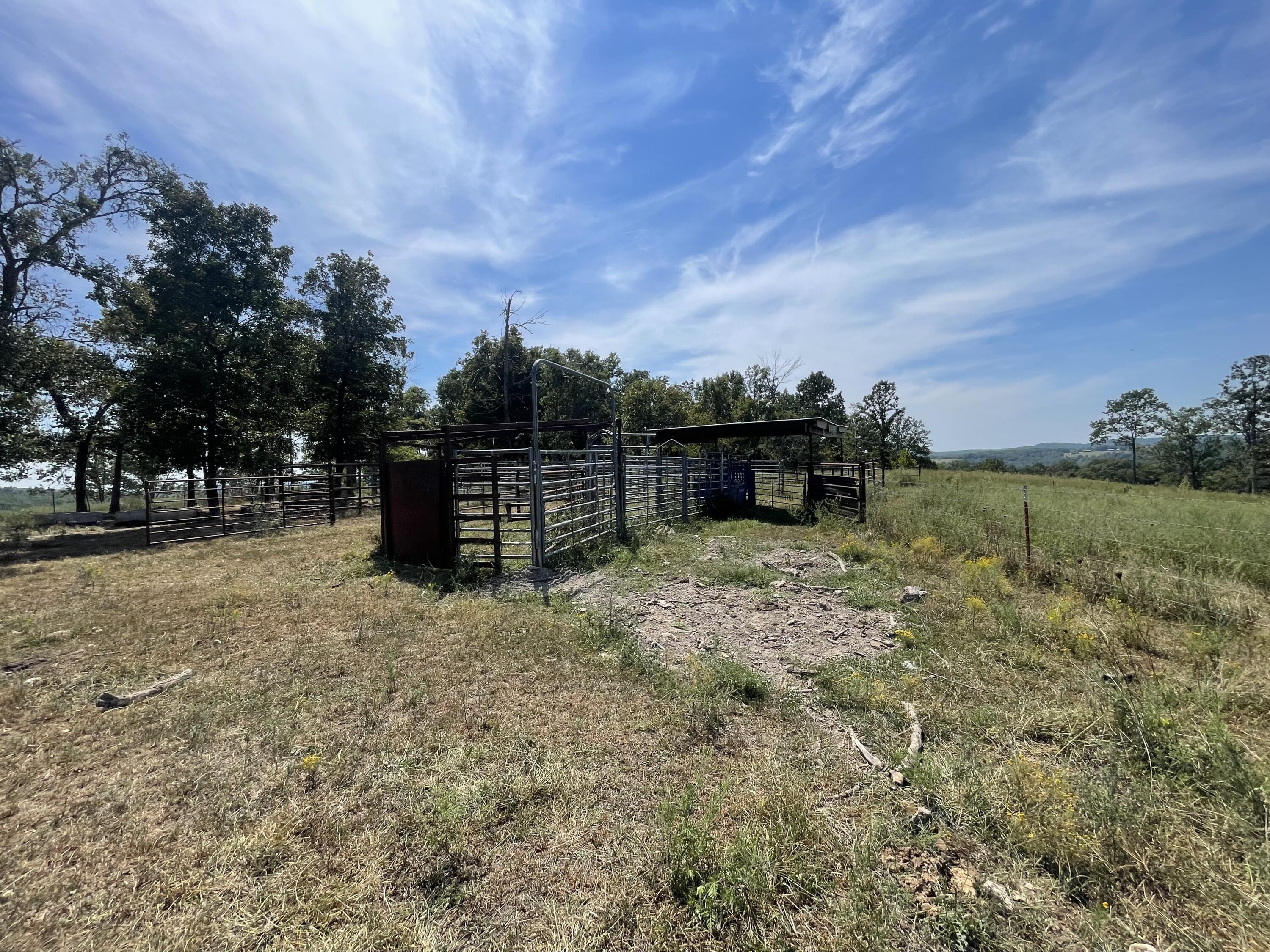 Photo 20 - Land for sale – 000  County Road 114   Ava, MO