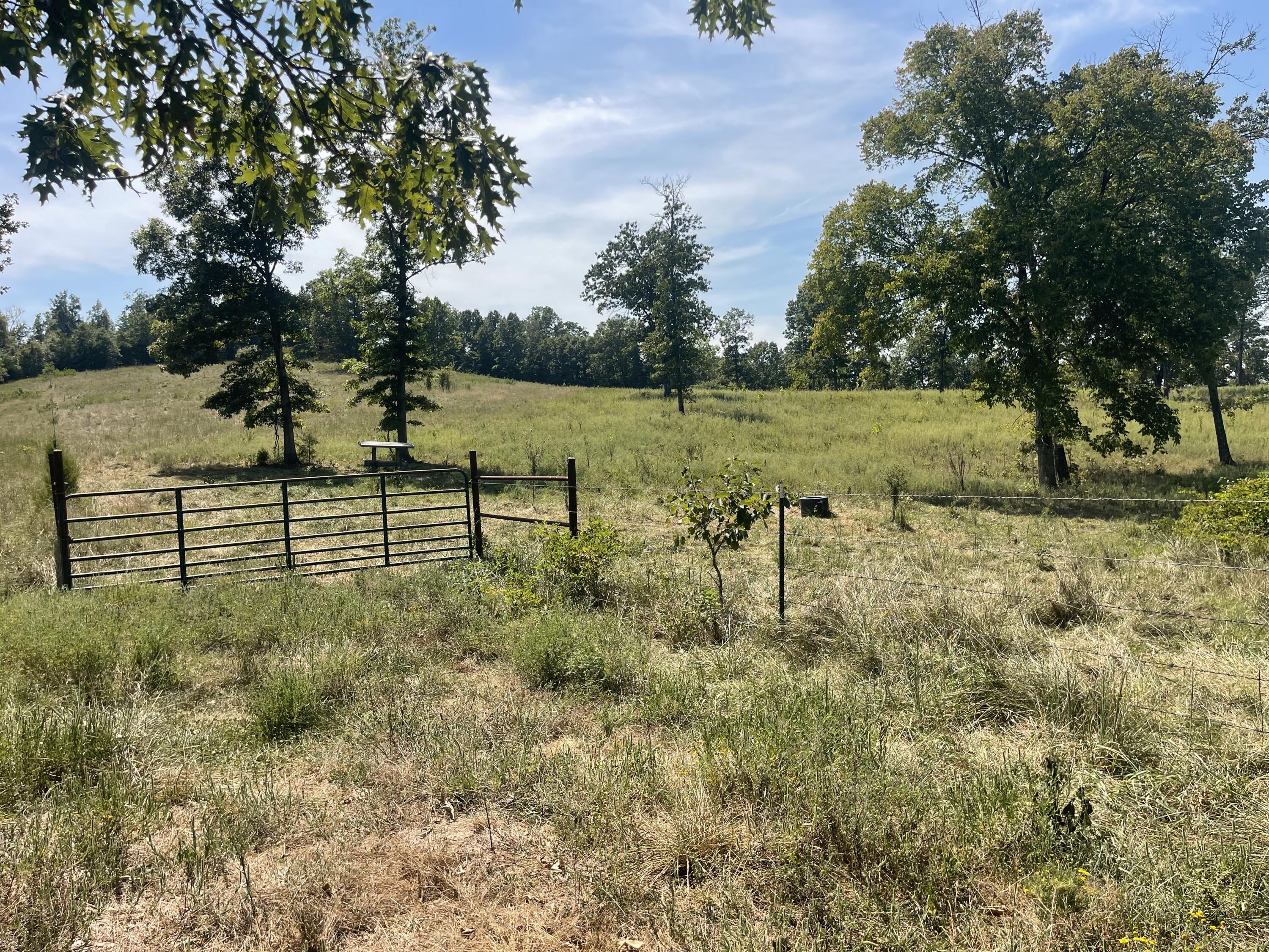 Photo 12 - Land for sale – 000  County Road 114   Ava, MO