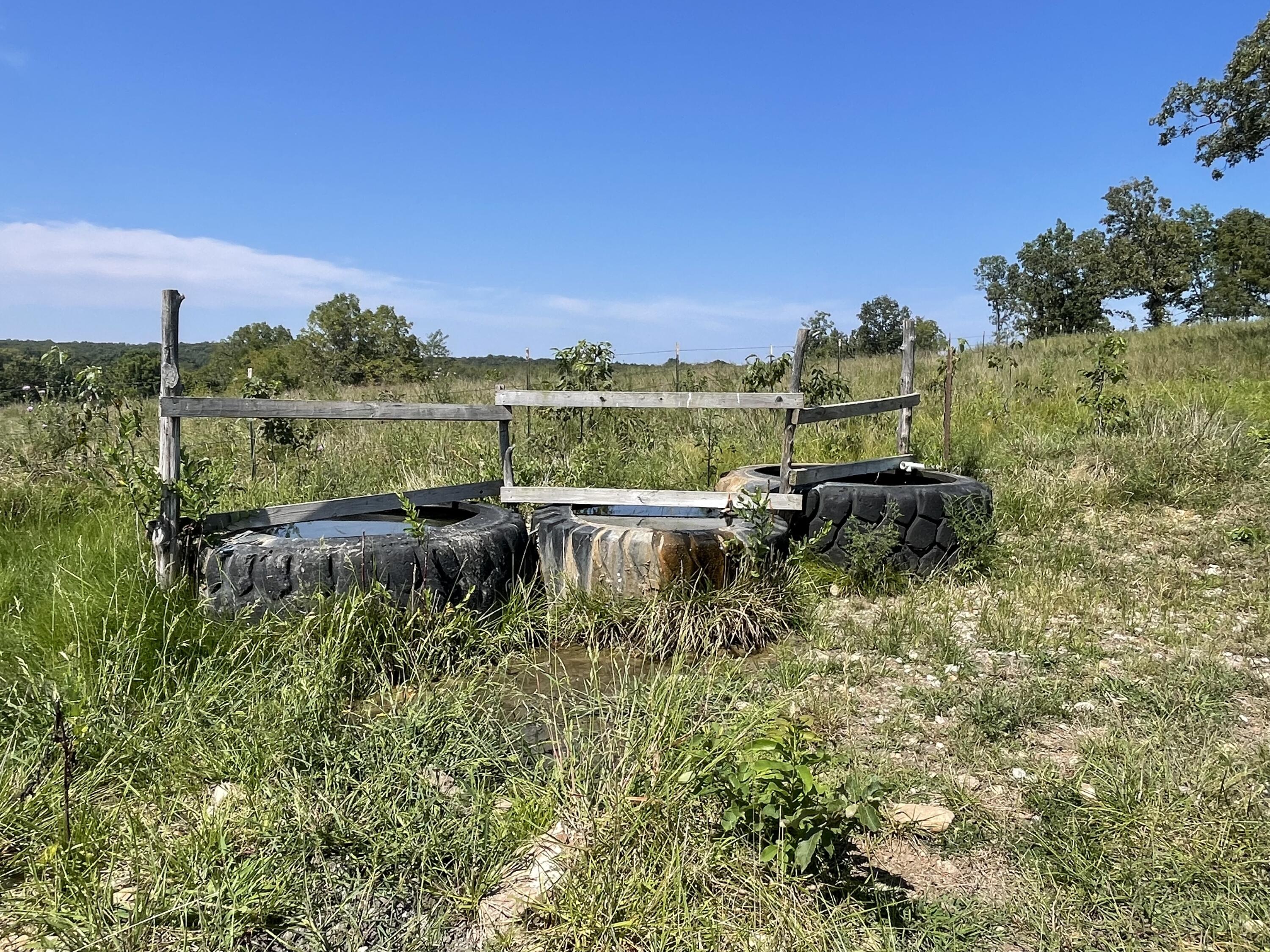 Photo 15 - Land for sale – 000  County Road 114   Ava, MO