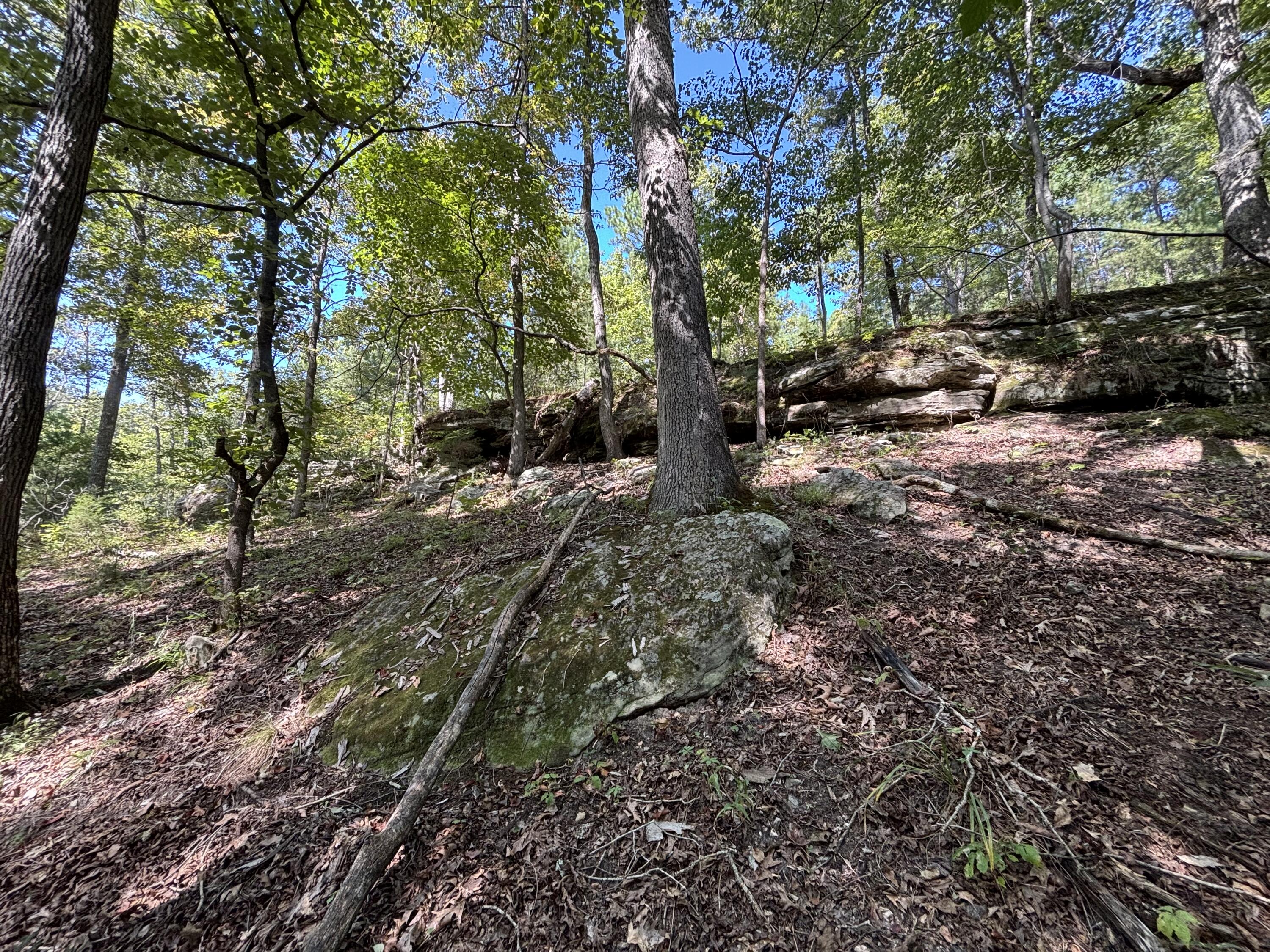 Photo 5 - Land for sale – 000  County Road 114   Ava, MO