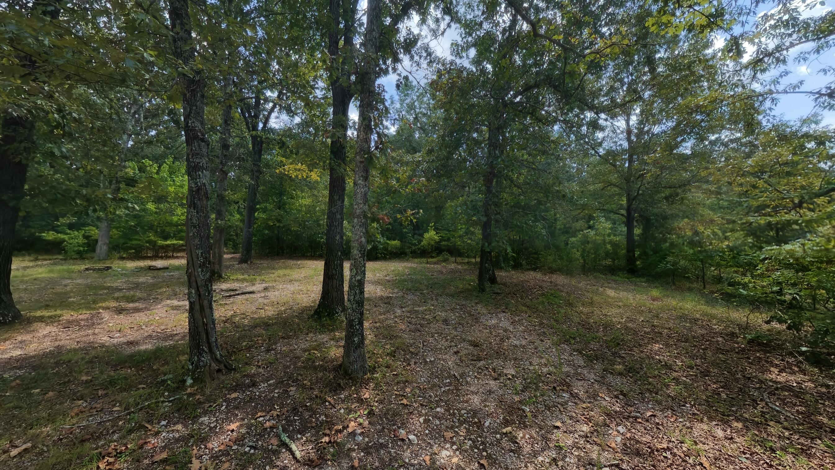 Photo 35 - Commercial Sale for sale – 14524  Missouri 17   West Plains, MO