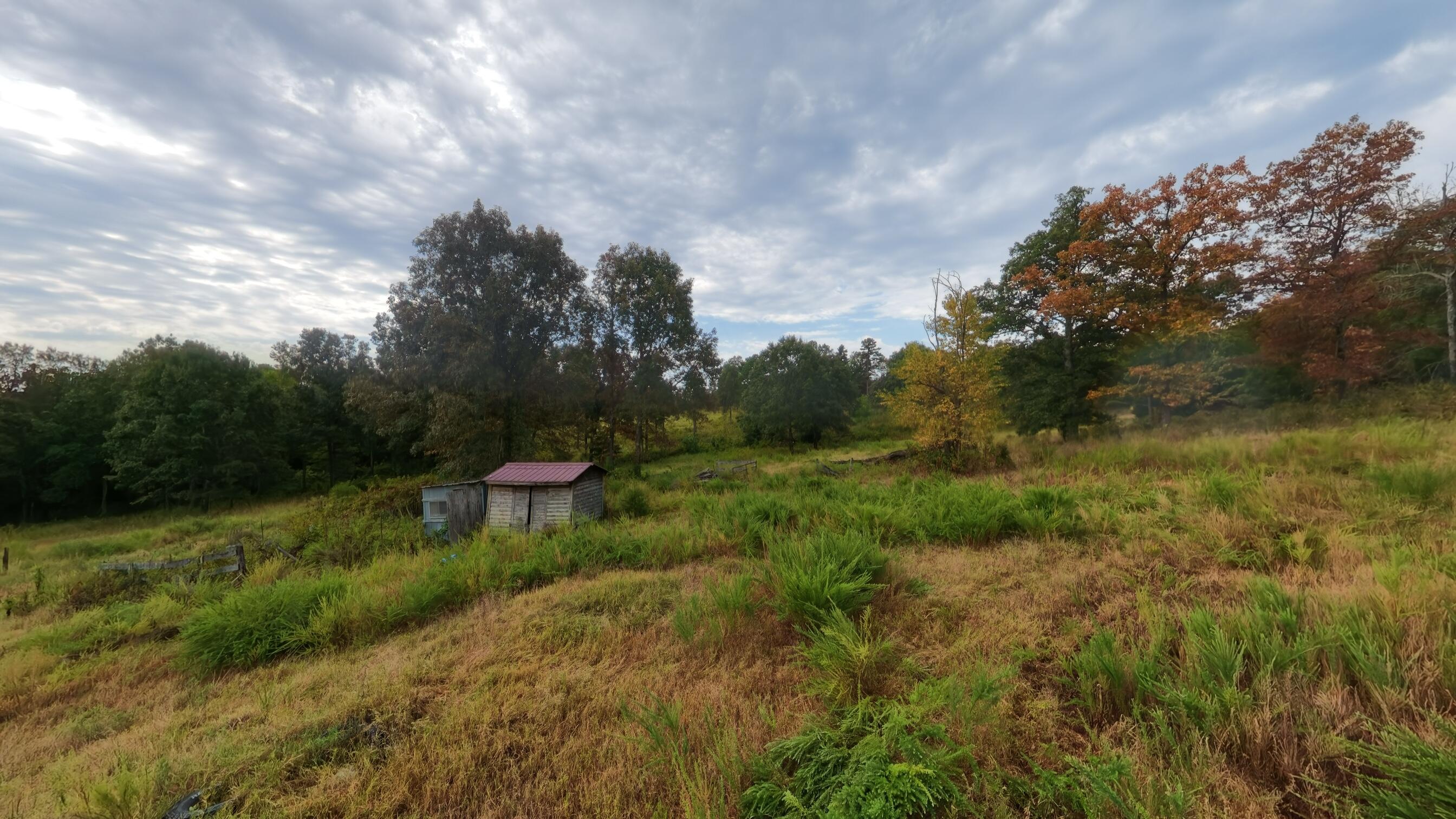 Photo 53 - Land for sale – 517  Sawmill Road  Brockwell, AR