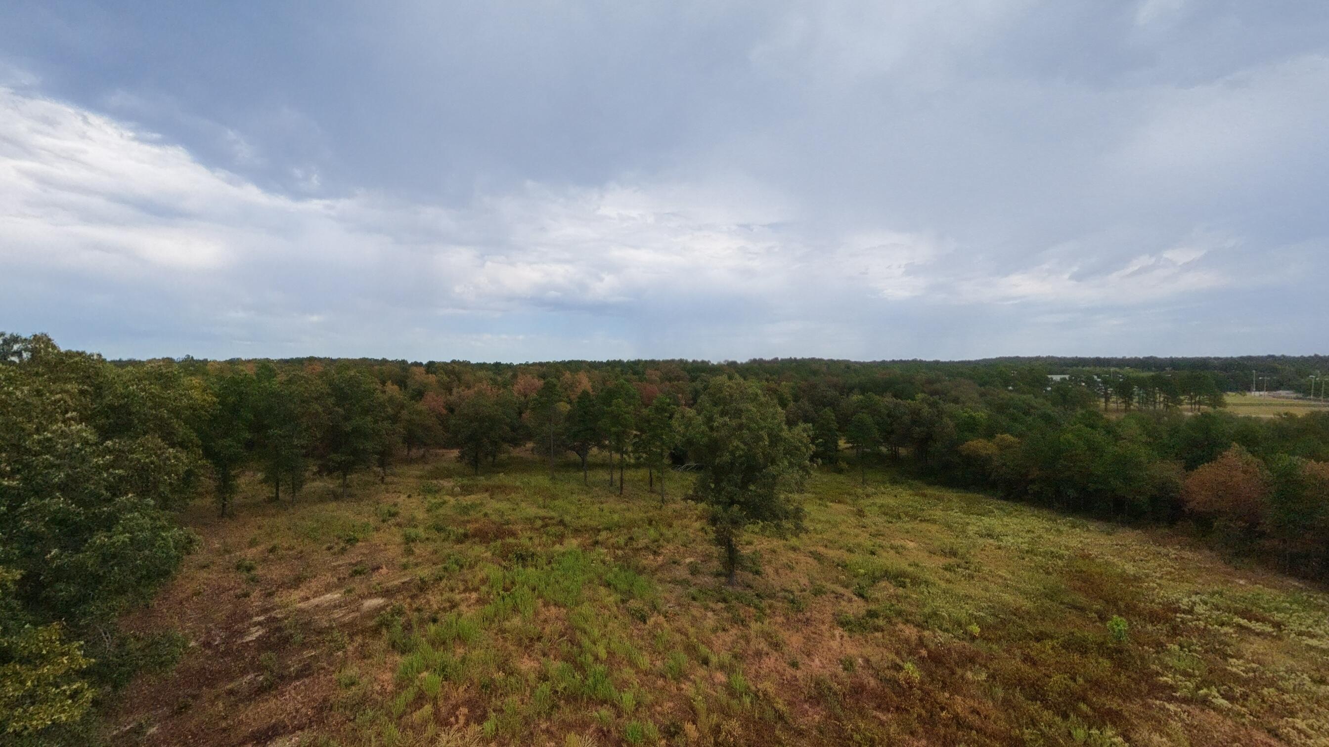 Photo 16 - Land for sale – 517  Sawmill Road  Brockwell, AR