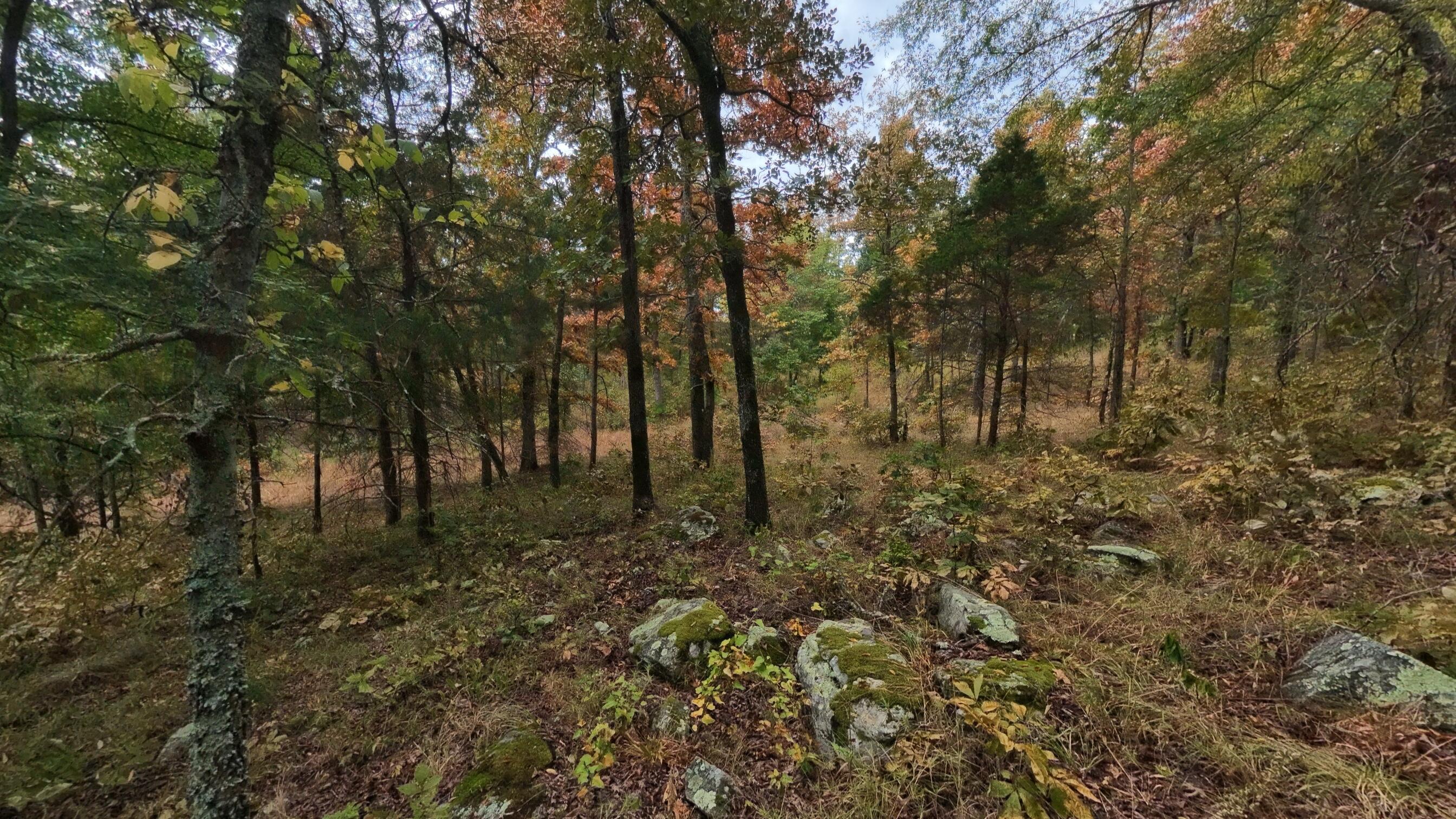 Photo 30 - Land for sale – 517  Sawmill Road  Brockwell, AR