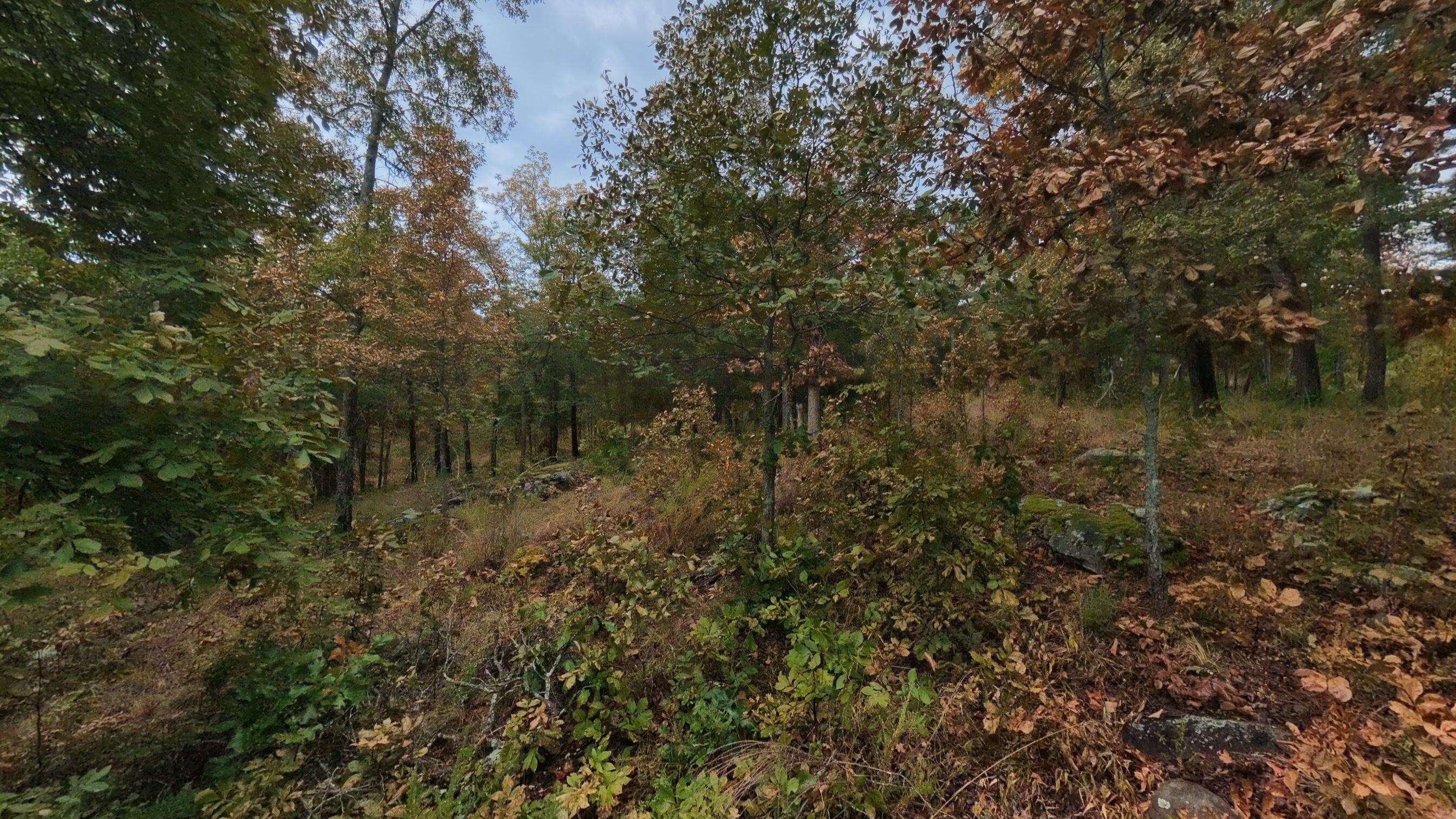 Photo 34 - Land for sale – 517  Sawmill Road  Brockwell, AR