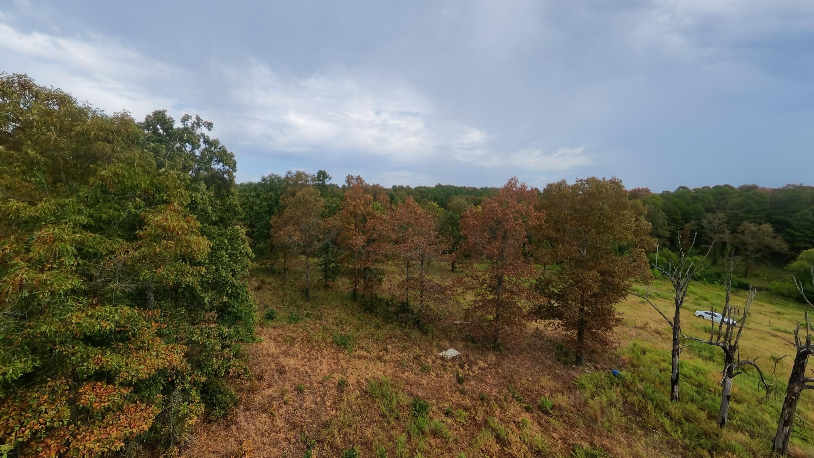 Photo 40 - Land for sale – 517  Sawmill Road  Brockwell, AR