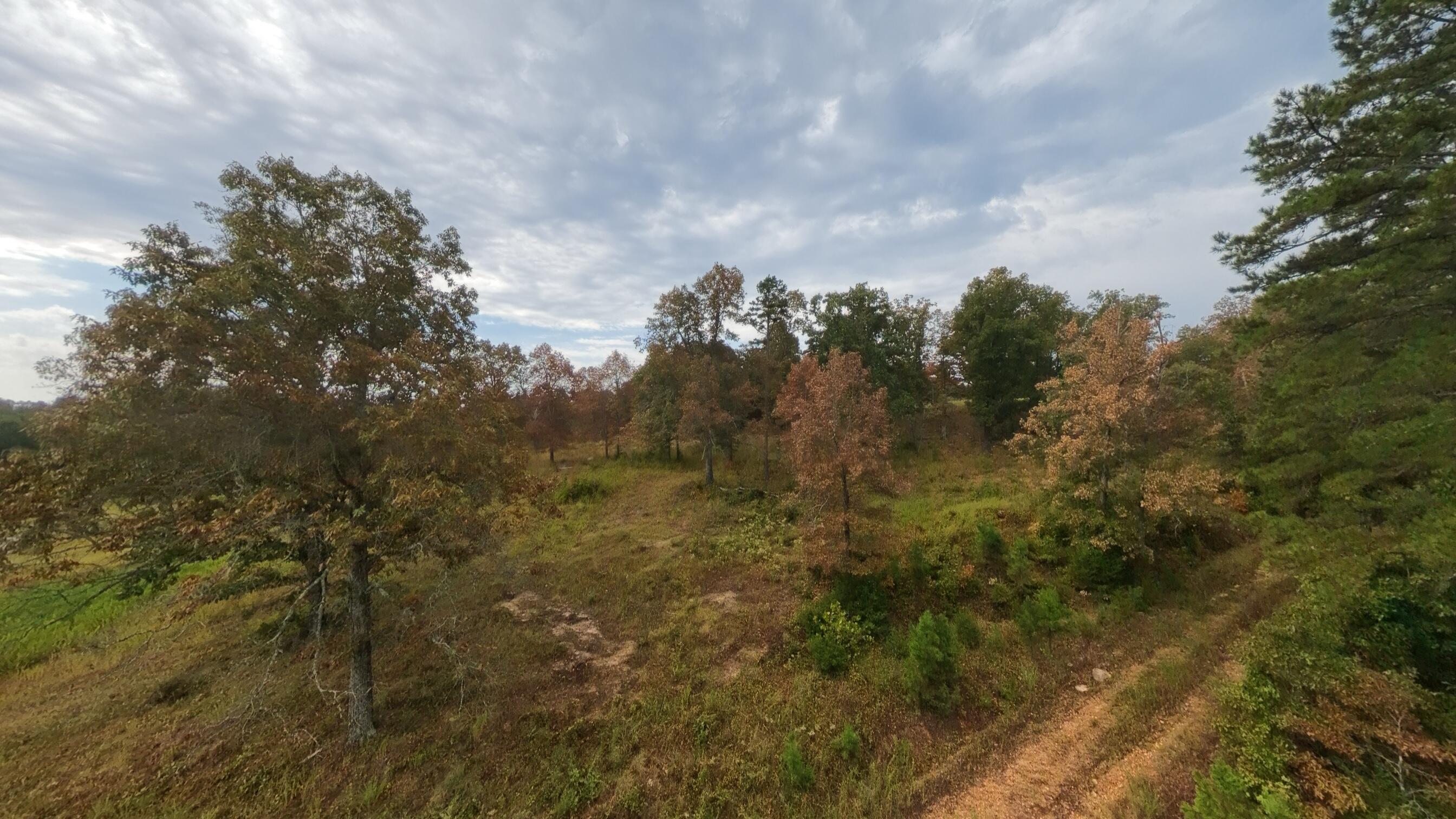 Photo 45 - Land for sale – 517  Sawmill Road  Brockwell, AR