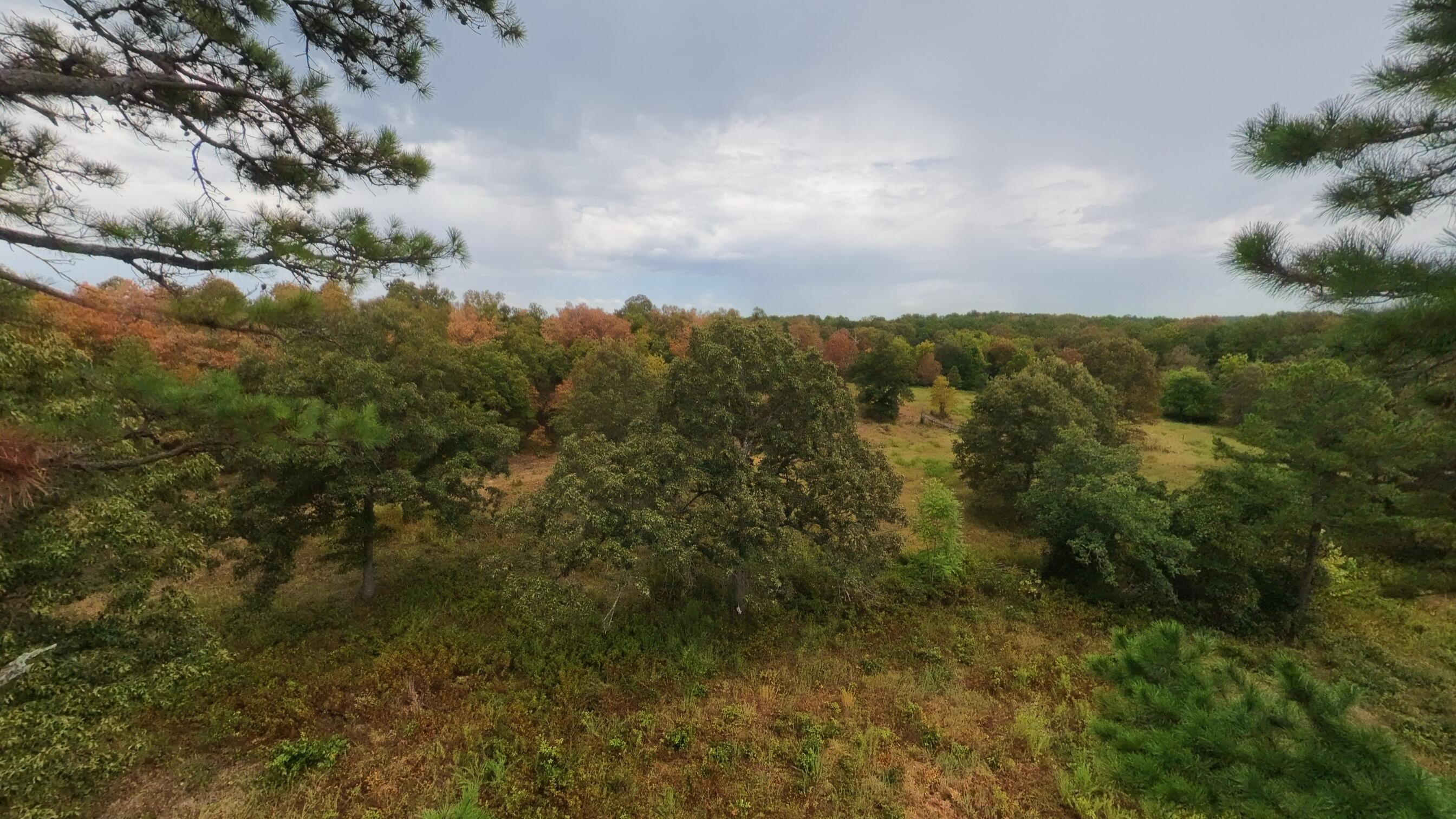 Photo 23 - Land for sale – 517  Sawmill Road  Brockwell, AR