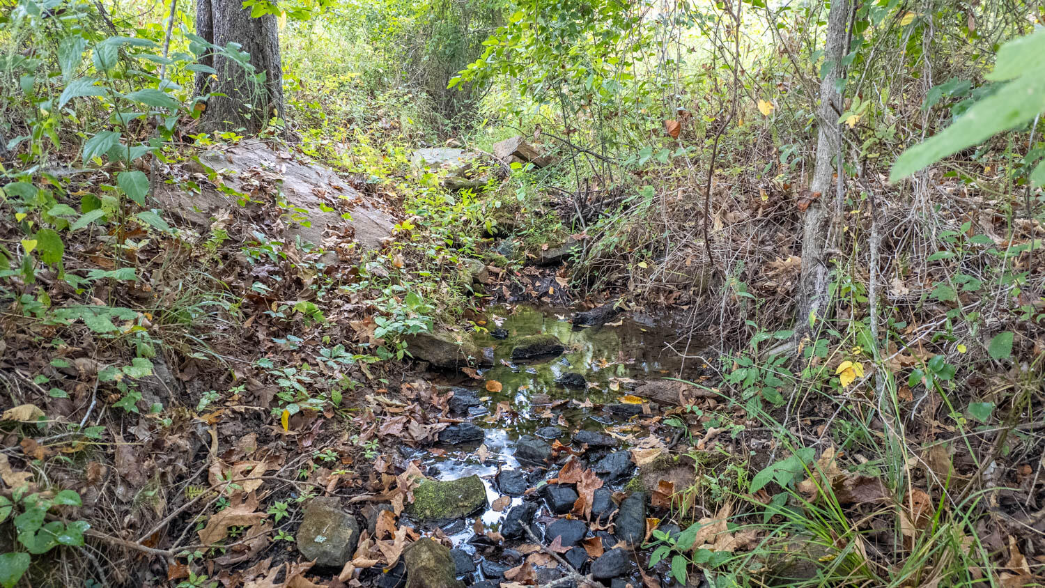 Photo 13 - Land for sale – 517  Sawmill Road  Brockwell, AR