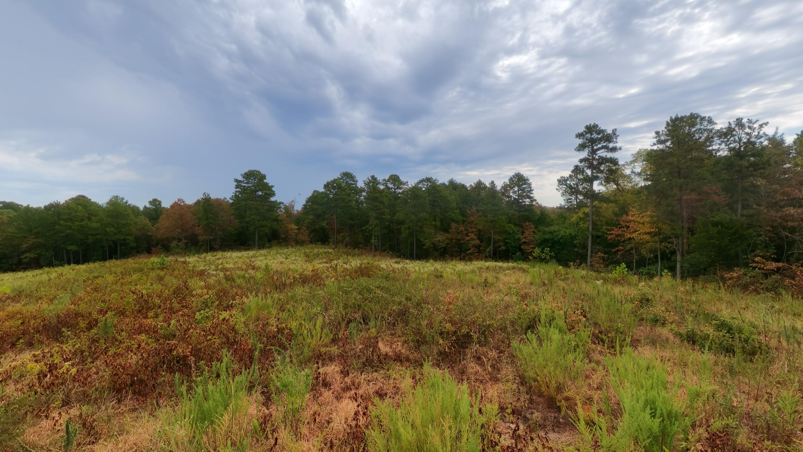 Photo 20 - Land for sale – 517  Sawmill Road  Brockwell, AR