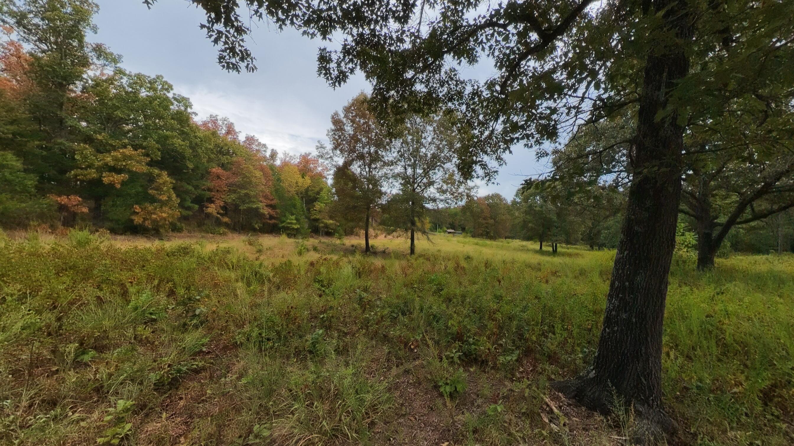 Photo 25 - Land for sale – 517  Sawmill Road  Brockwell, AR