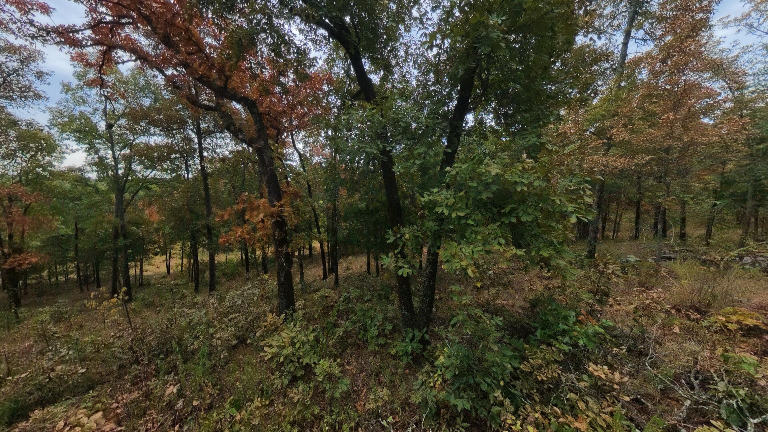 Photo 32 - Land for sale – 517  Sawmill Road  Brockwell, AR