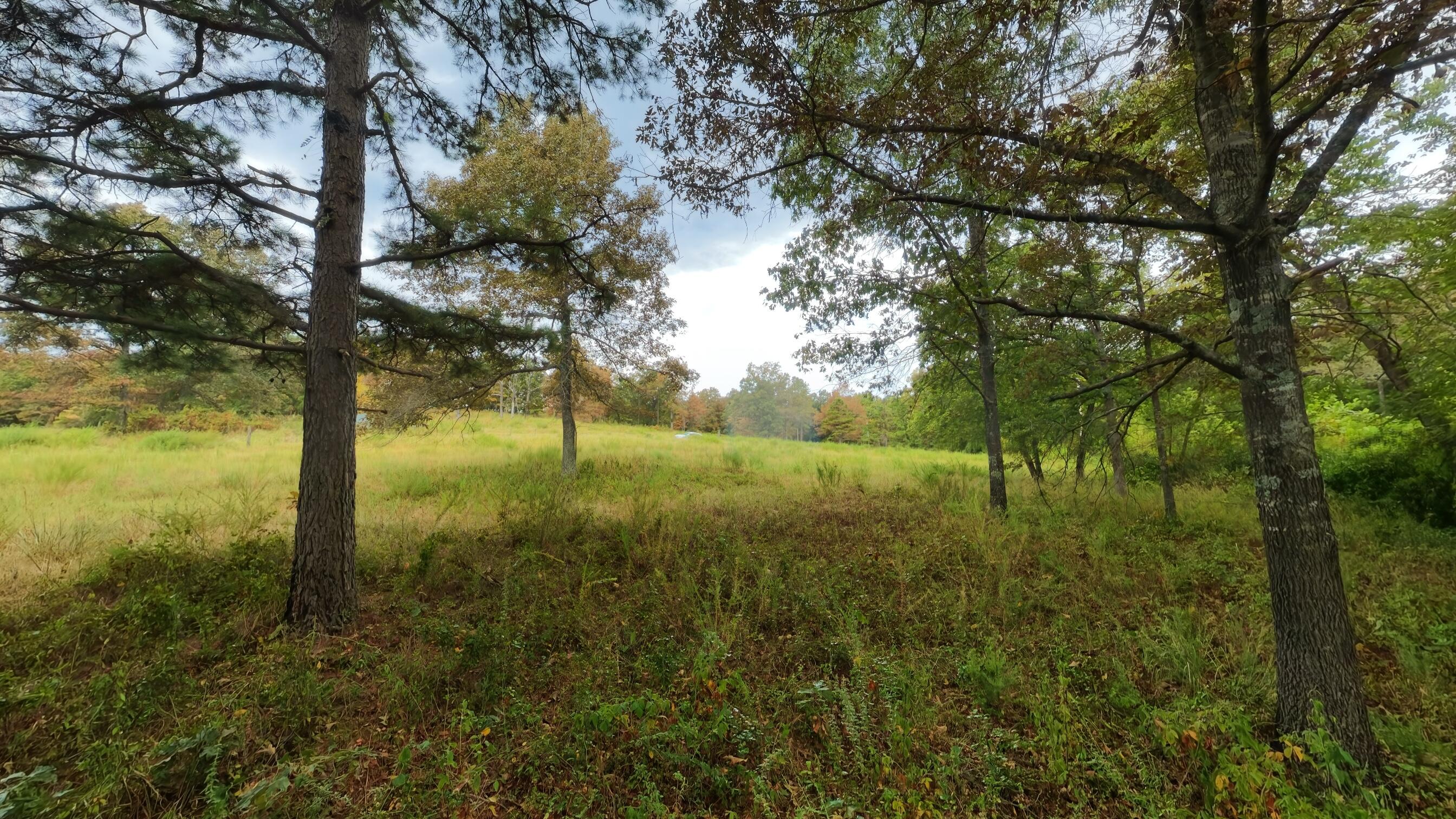 Photo 50 - Land for sale – 517  Sawmill Road  Brockwell, AR