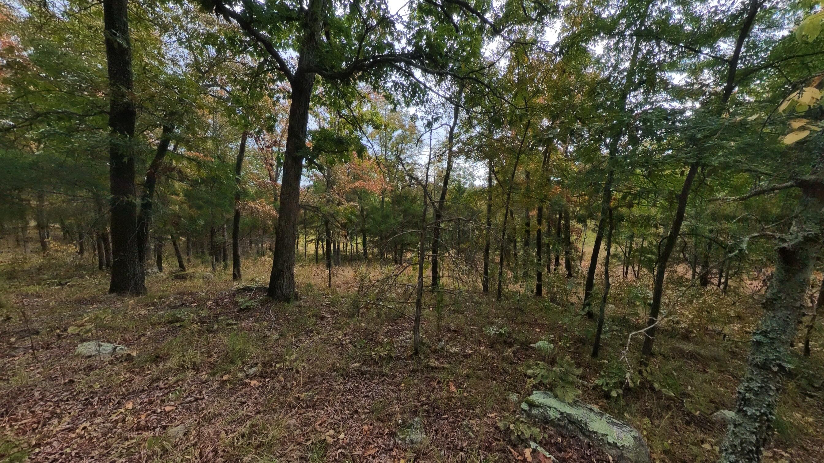 Photo 29 - Land for sale – 517  Sawmill Road  Brockwell, AR