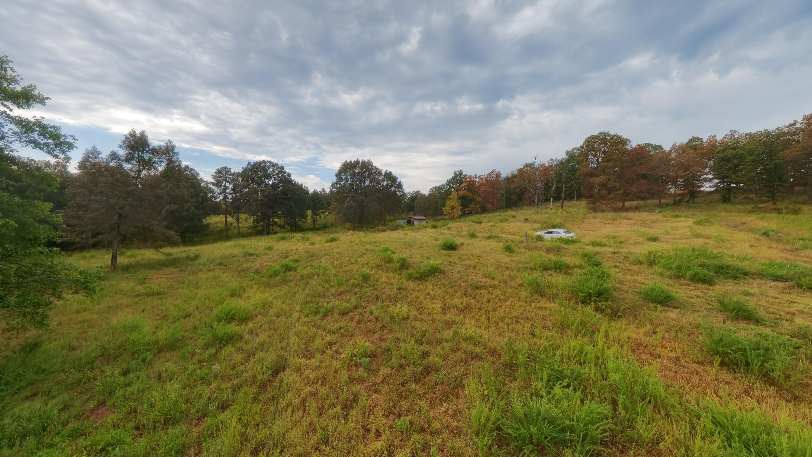 Photo 48 - Land for sale – 517  Sawmill Road  Brockwell, AR