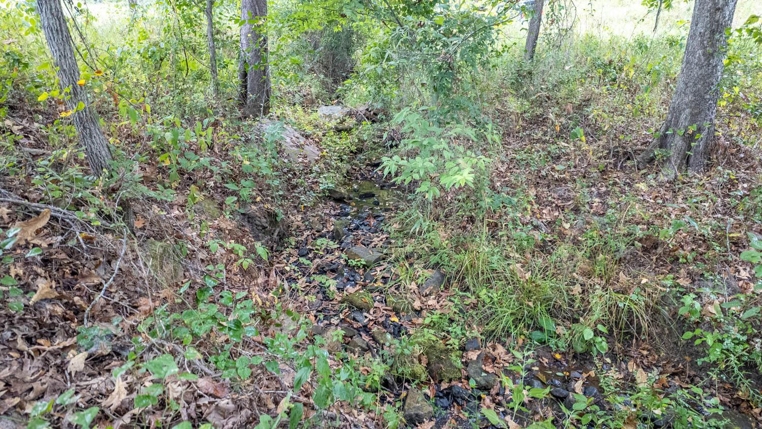 Photo 14 - Land for sale – 517  Sawmill Road  Brockwell, AR