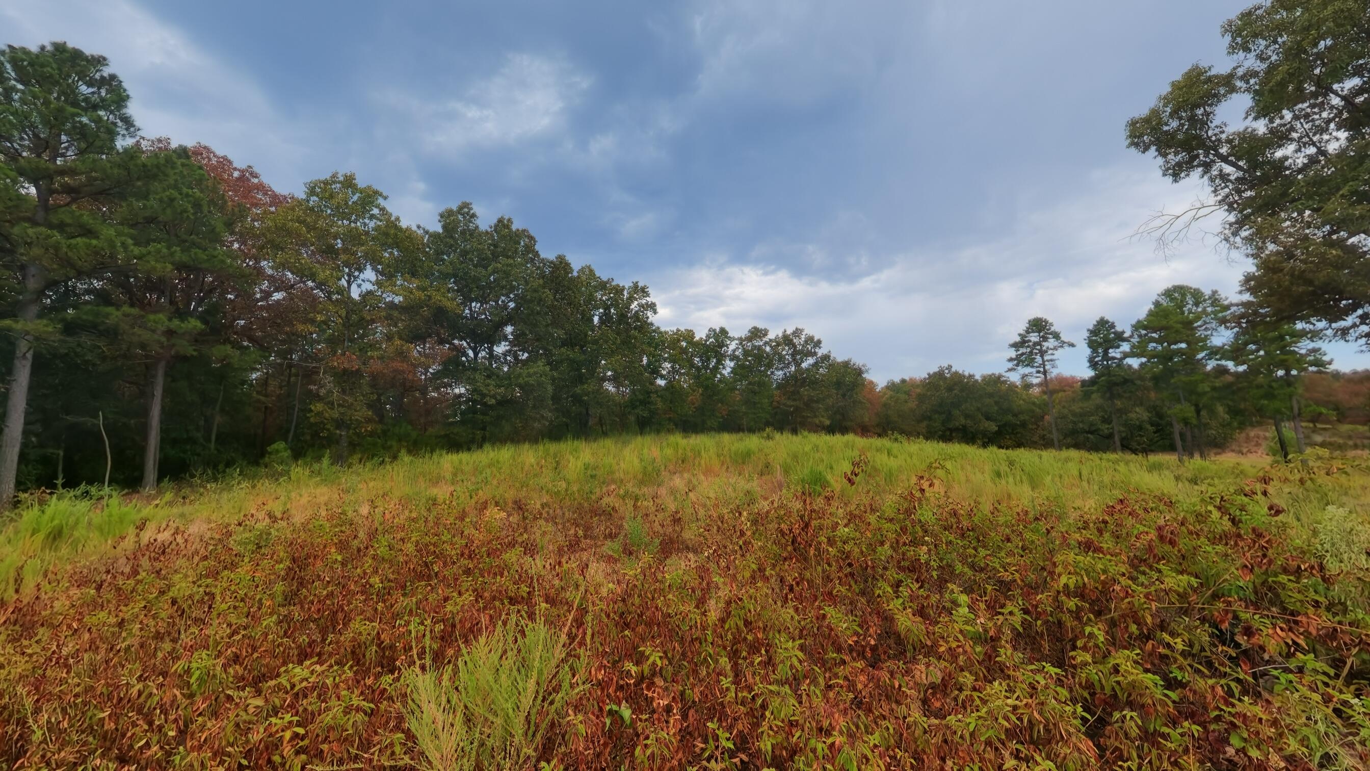 Photo 22 - Land for sale – 517  Sawmill Road  Brockwell, AR