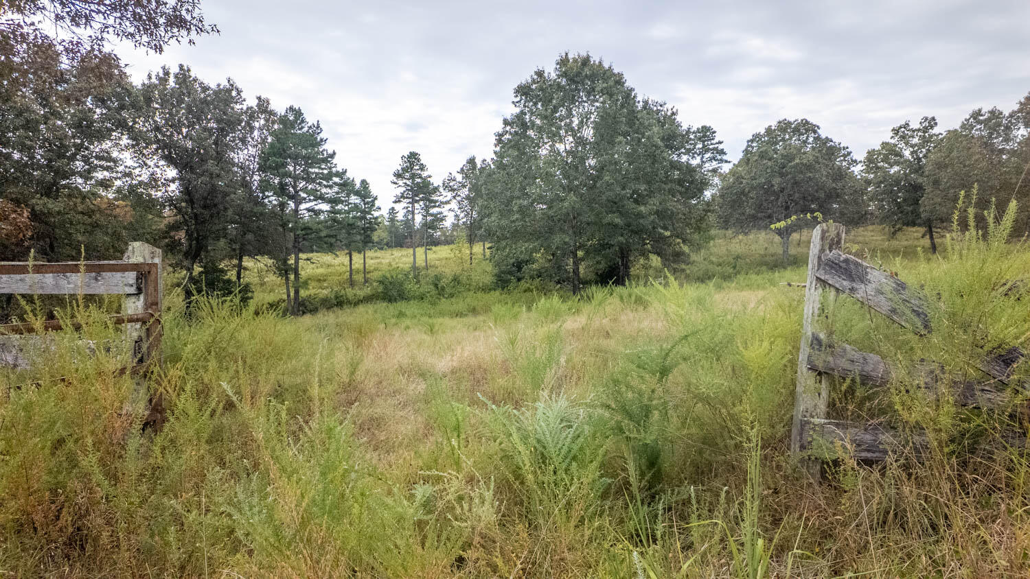Photo 9 - Land for sale – 517  Sawmill Road  Brockwell, AR