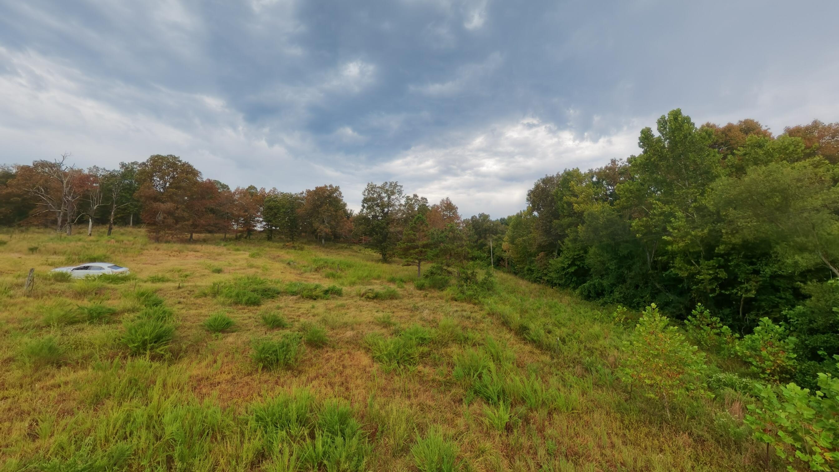 Photo 49 - Land for sale – 517  Sawmill Road  Brockwell, AR