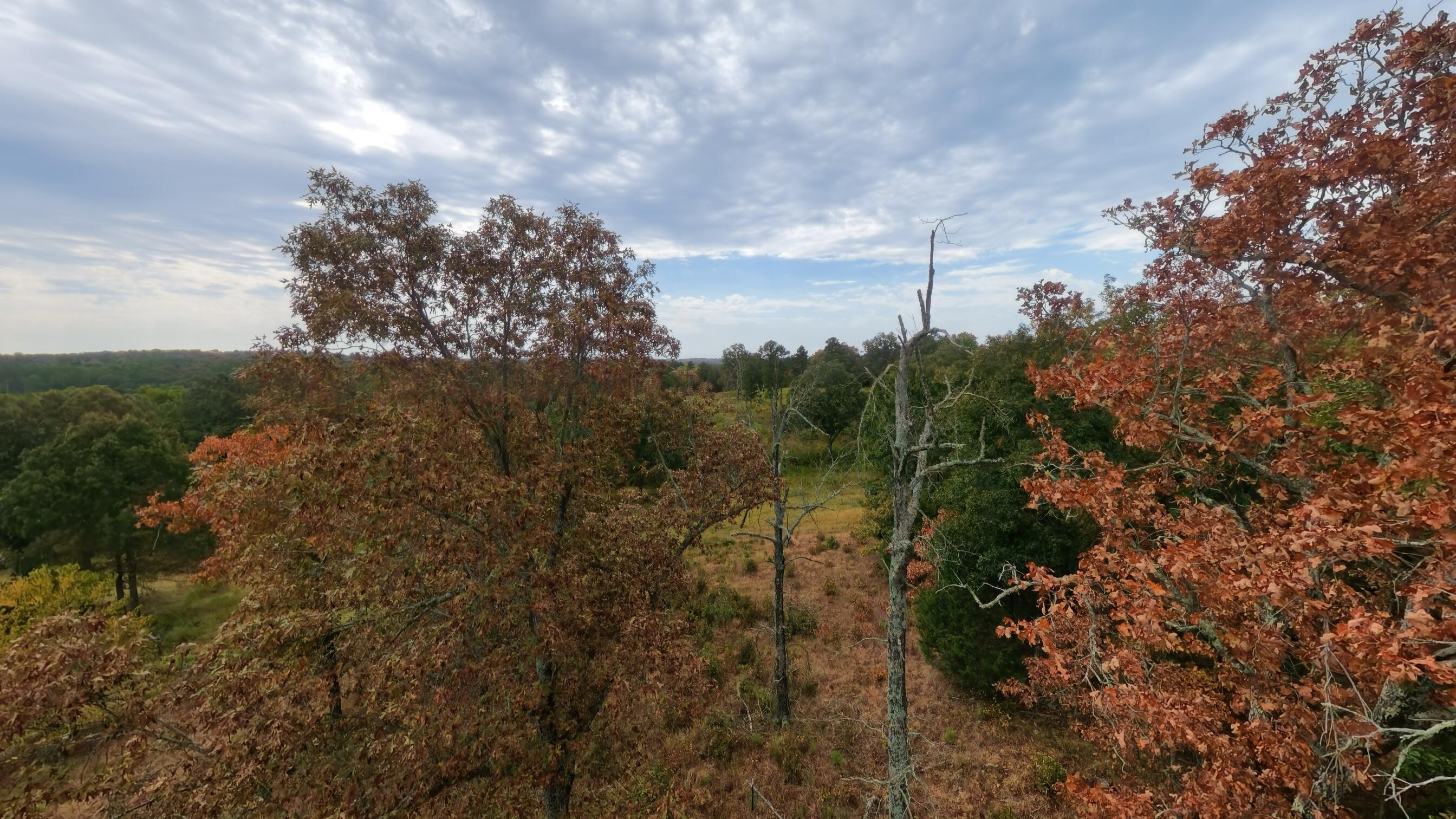Photo 39 - Land for sale – 517  Sawmill Road  Brockwell, AR