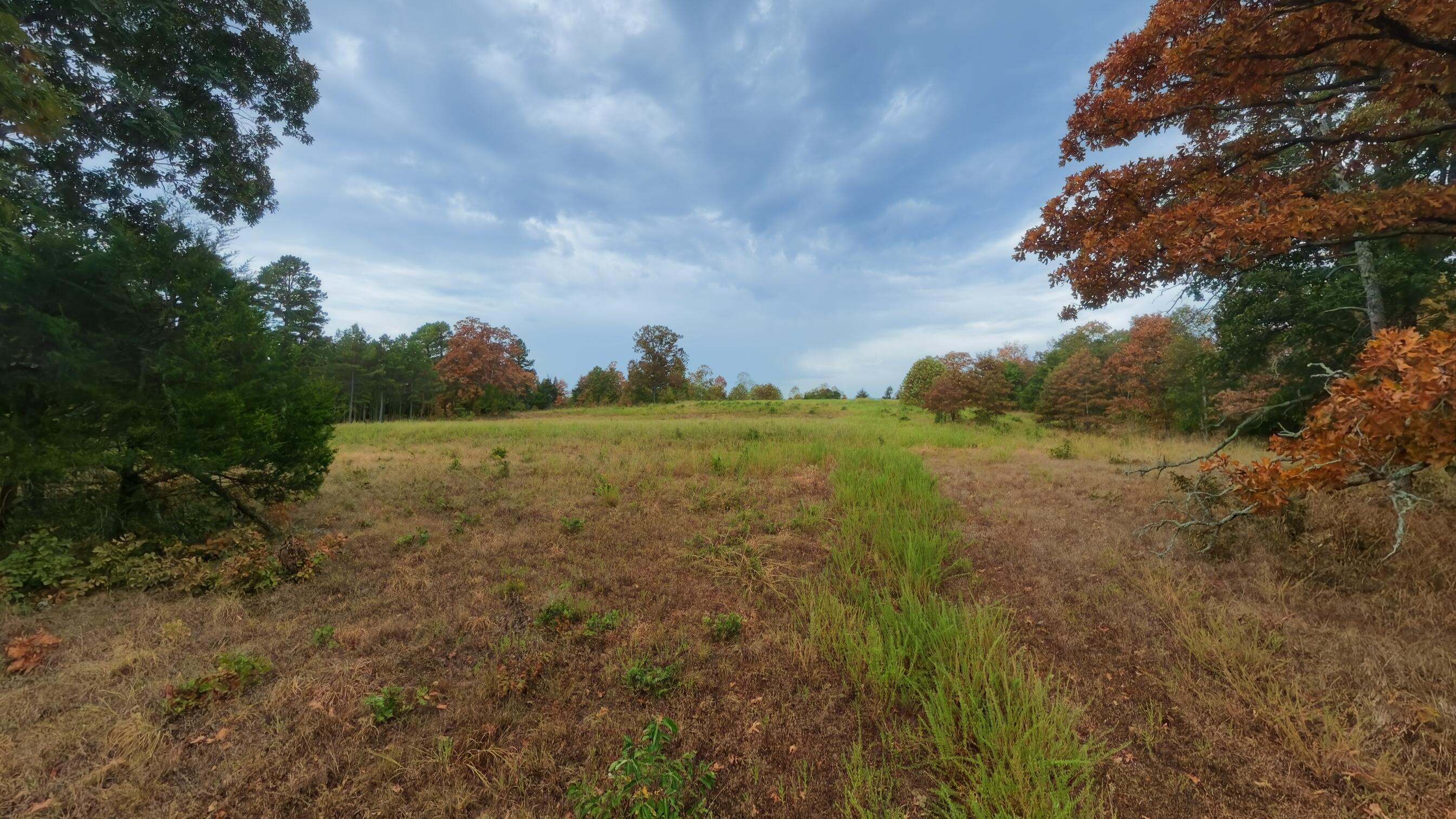 Photo 42 - Land for sale – 517  Sawmill Road  Brockwell, AR