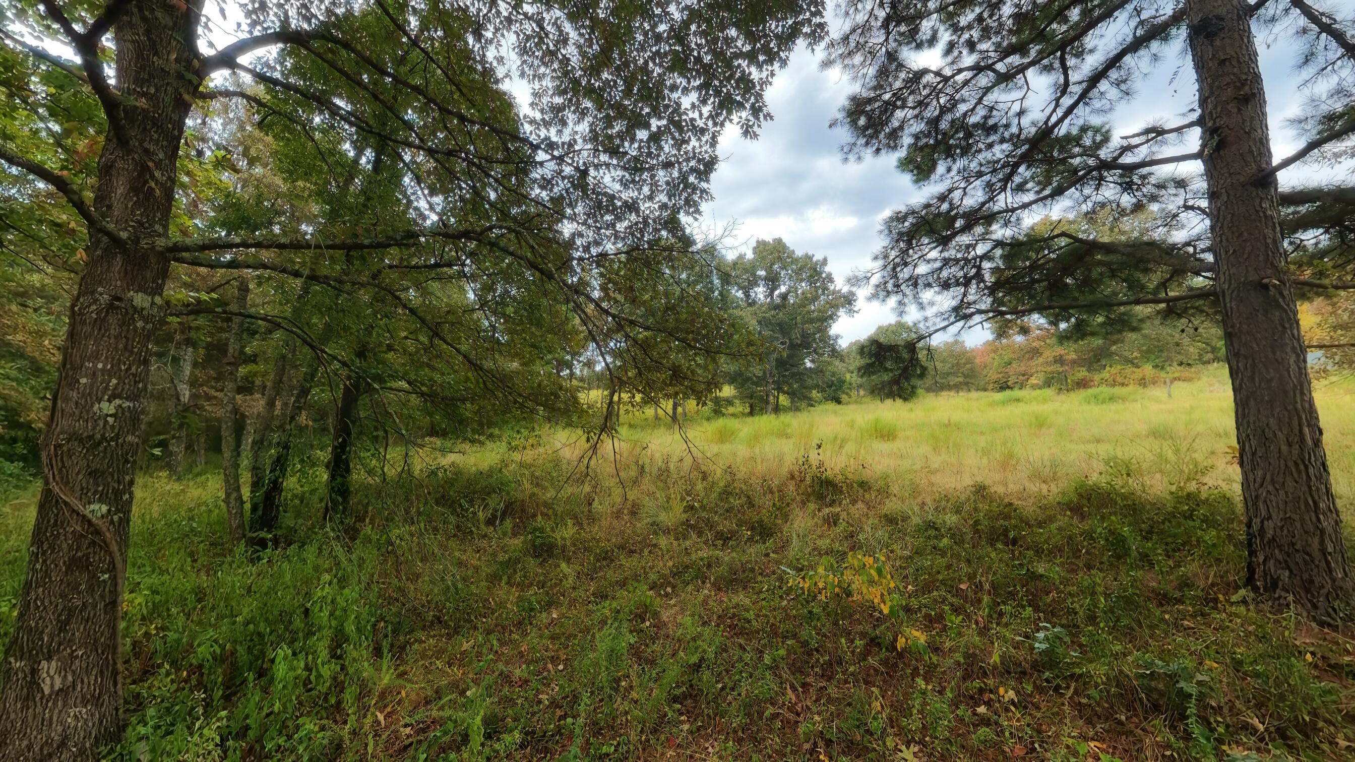 Photo 51 - Land for sale – 517  Sawmill Road  Brockwell, AR