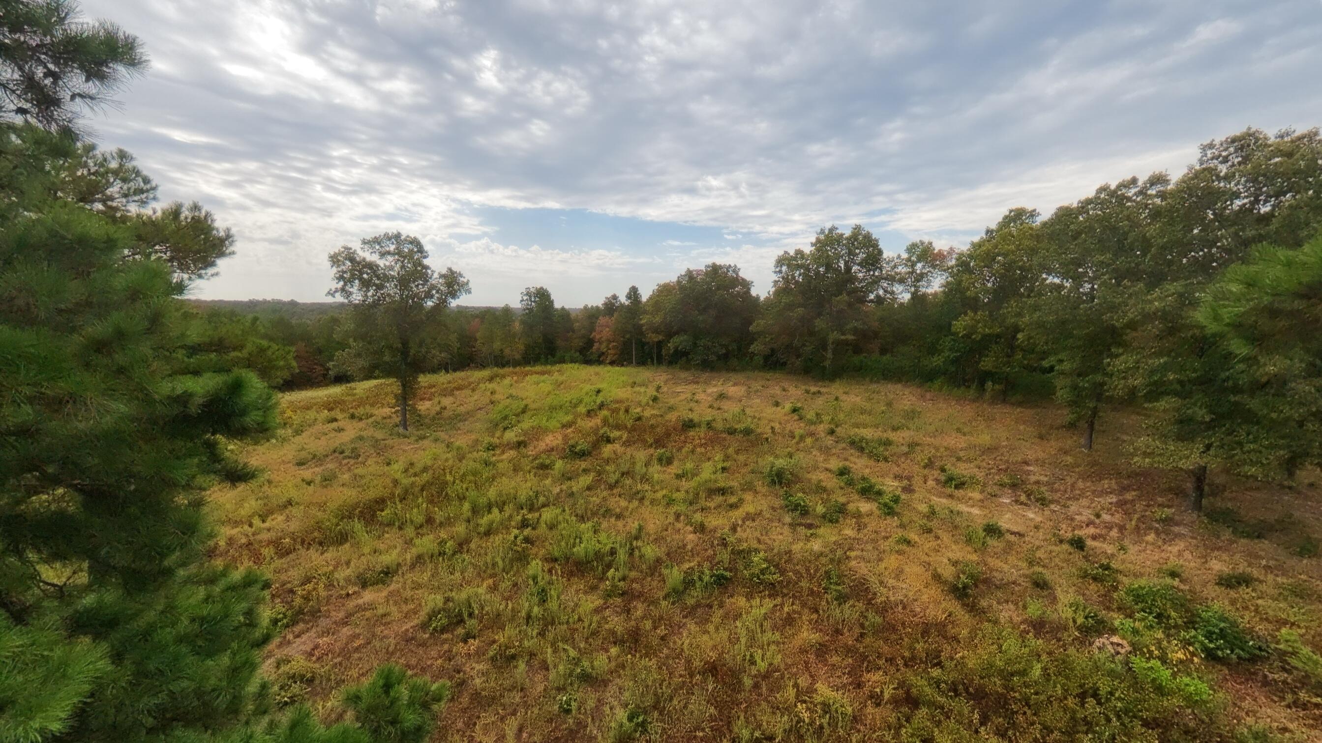 Photo 24 - Land for sale – 517  Sawmill Road  Brockwell, AR