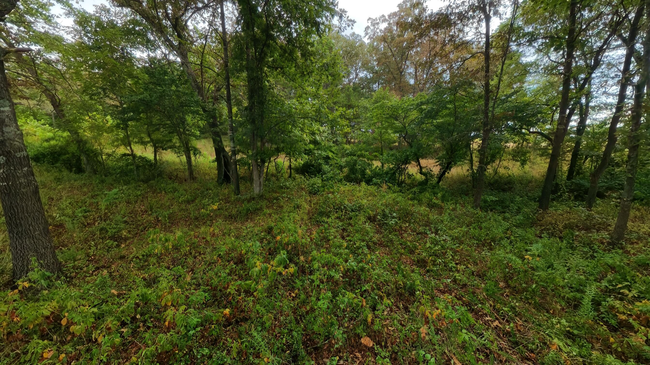 Photo 52 - Land for sale – 517  Sawmill Road  Brockwell, AR