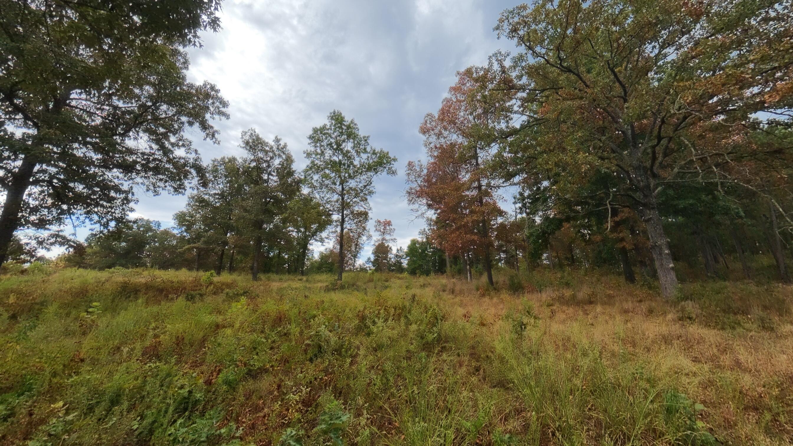 Photo 27 - Land for sale – 517  Sawmill Road  Brockwell, AR