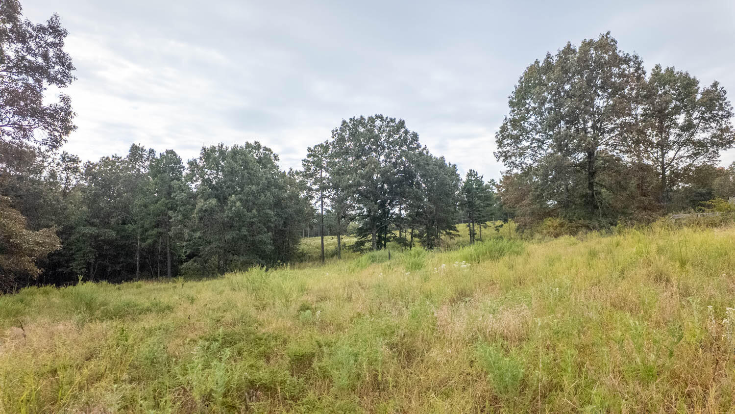Photo 8 - Land for sale – 517  Sawmill Road  Brockwell, AR