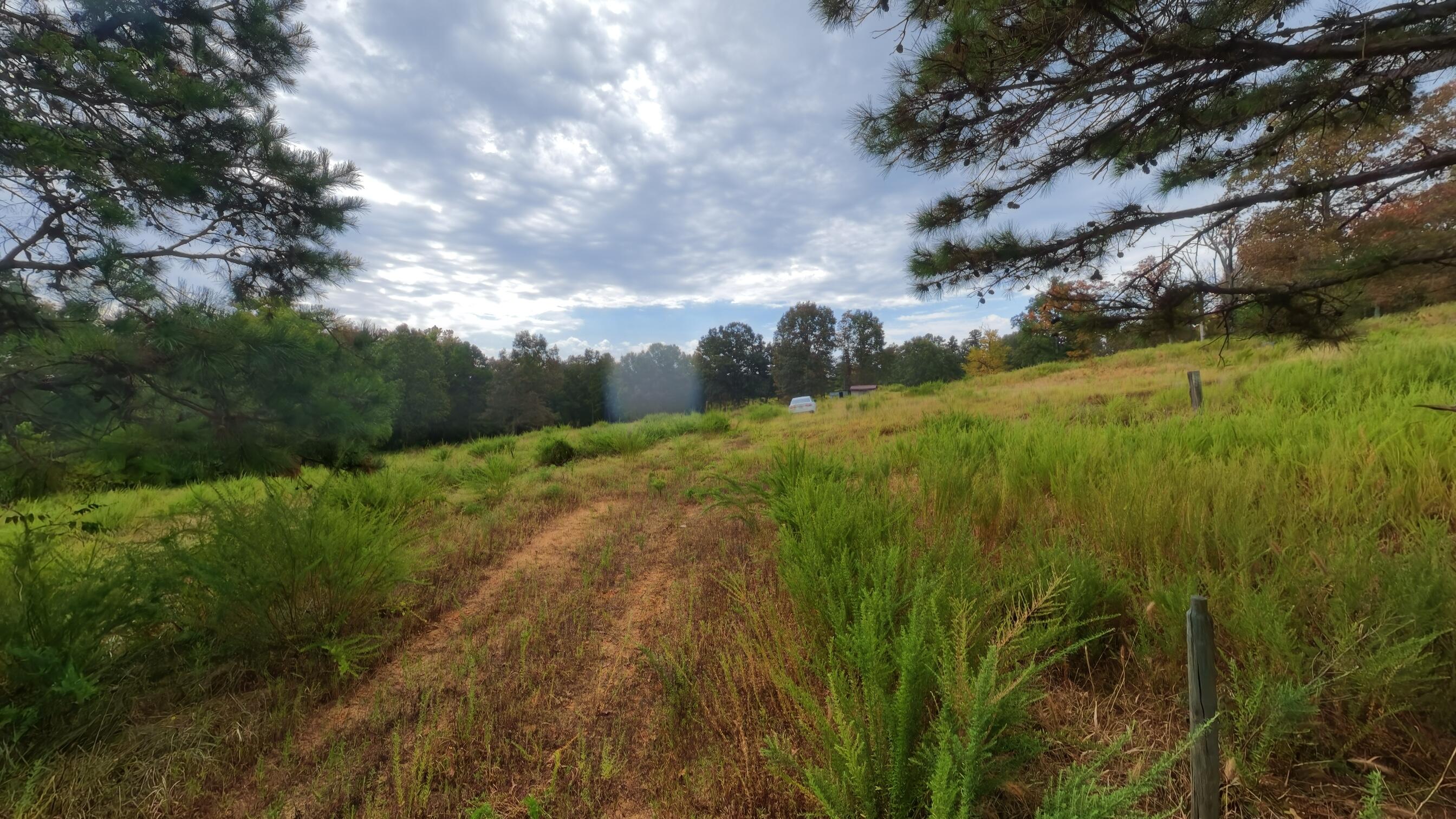 Photo 46 - Land for sale – 517  Sawmill Road  Brockwell, AR