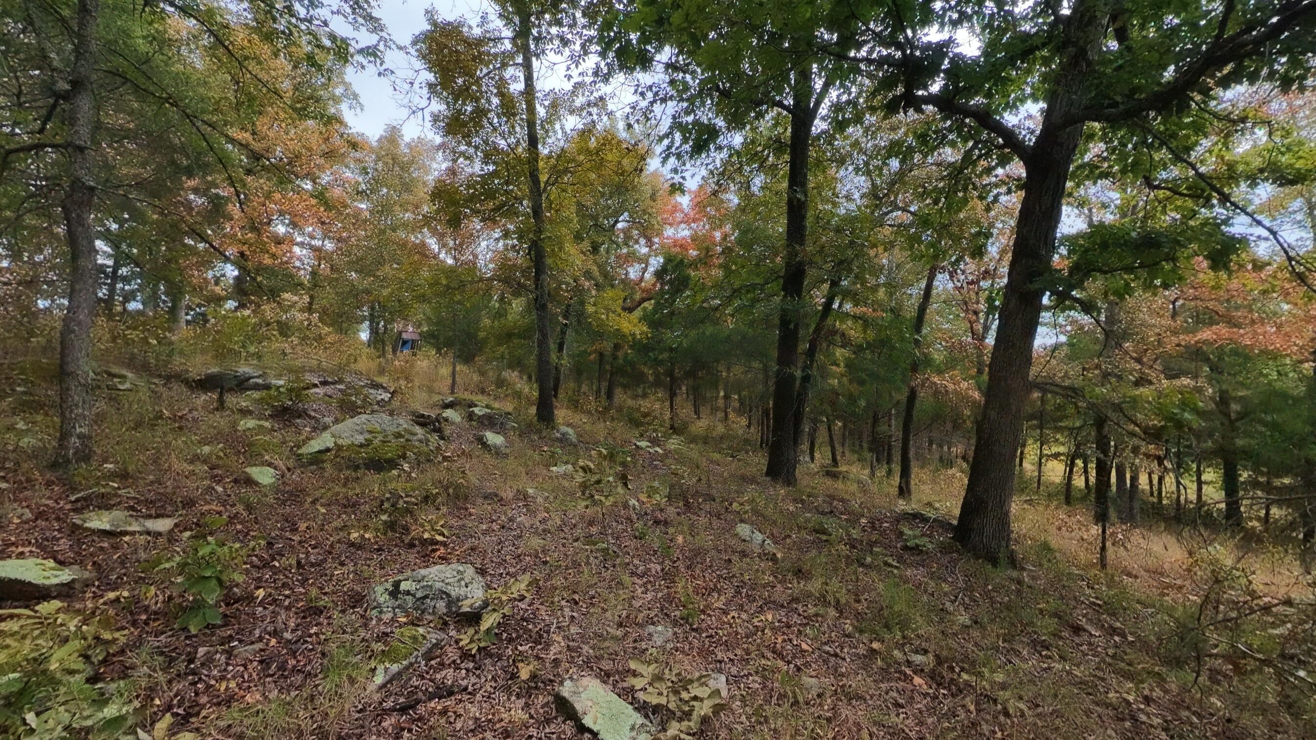 Photo 28 - Land for sale – 517  Sawmill Road  Brockwell, AR