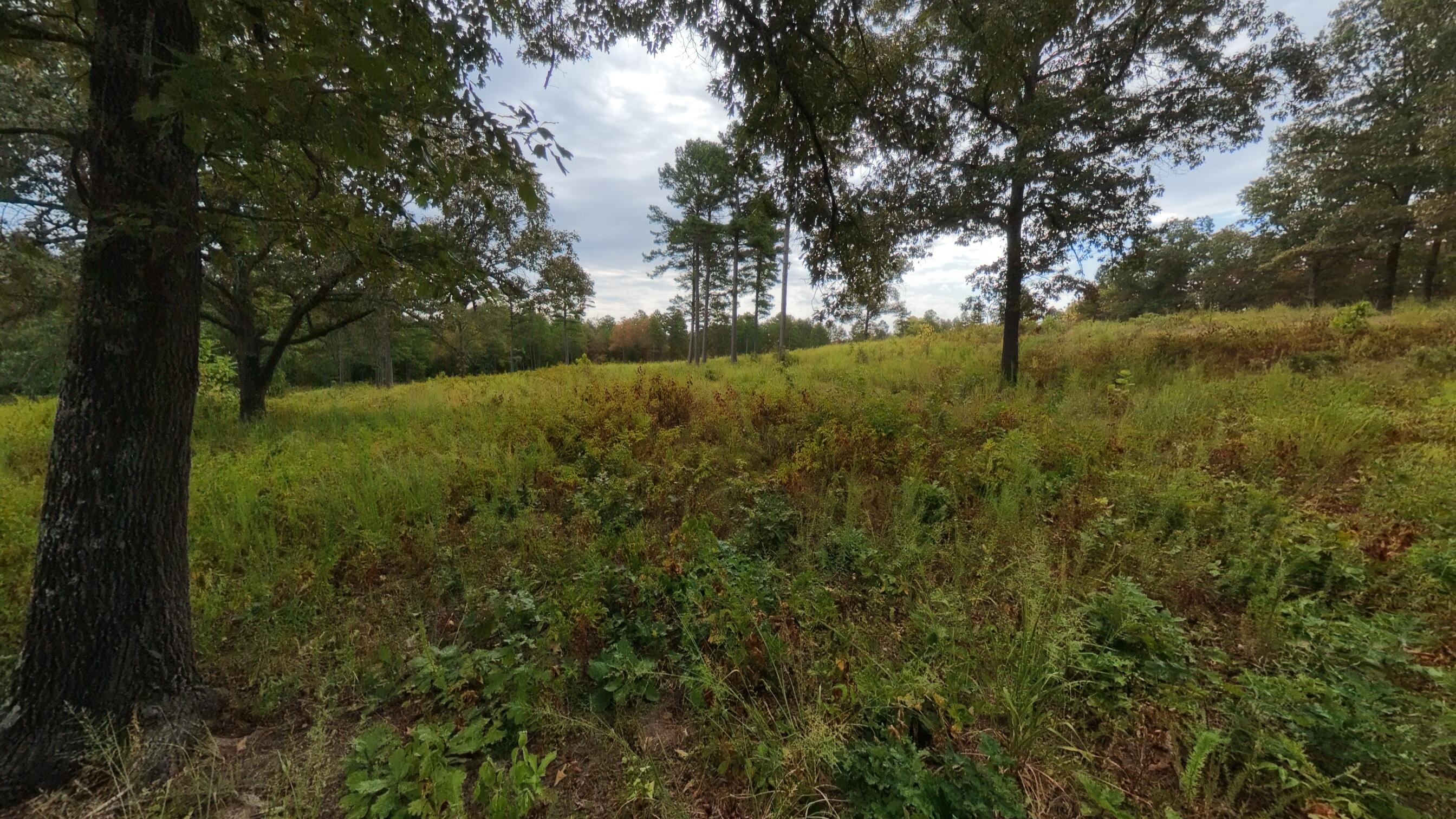 Photo 26 - Land for sale – 517  Sawmill Road  Brockwell, AR