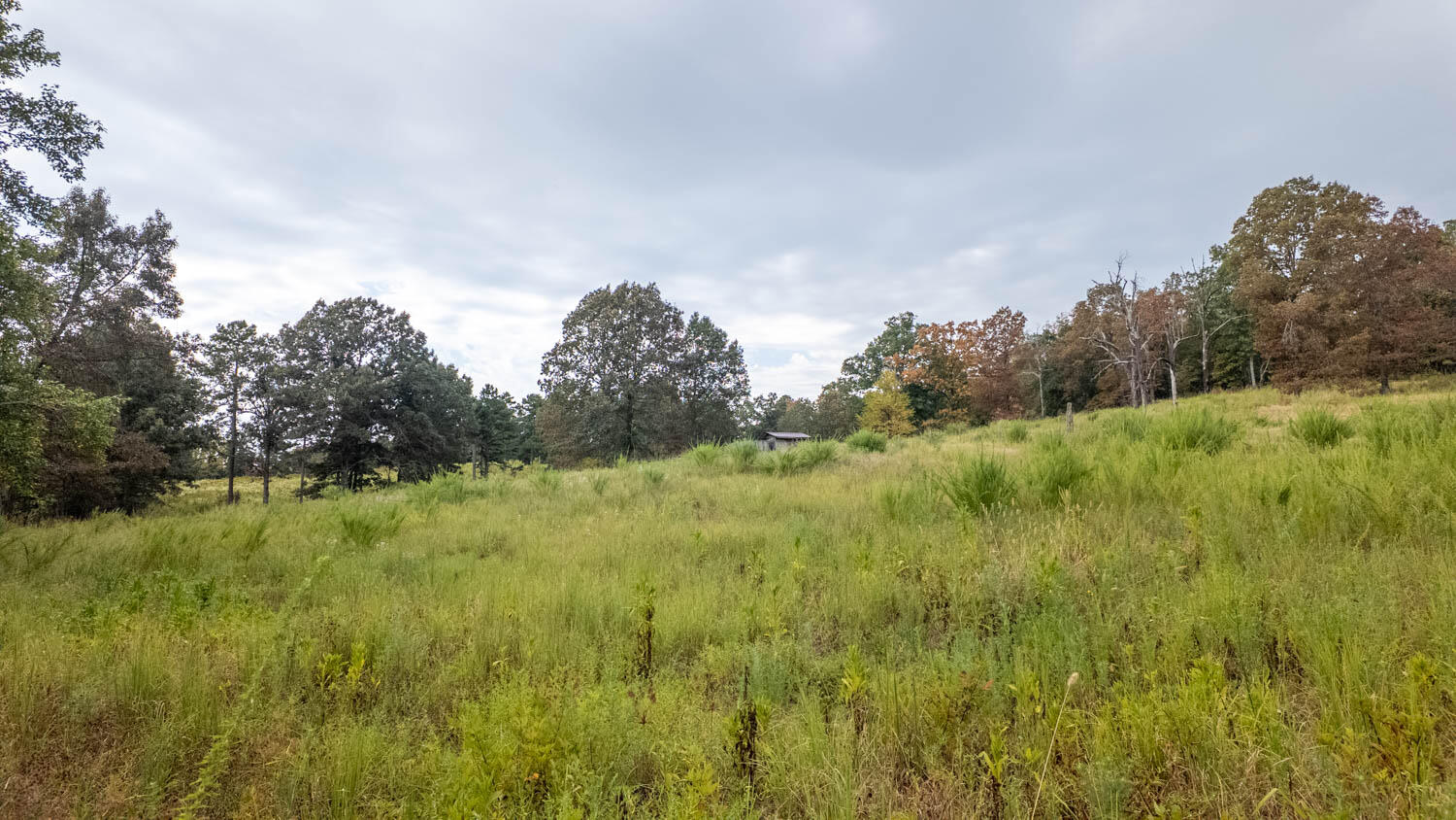 Photo 4 - Land for sale – 517  Sawmill Road  Brockwell, AR