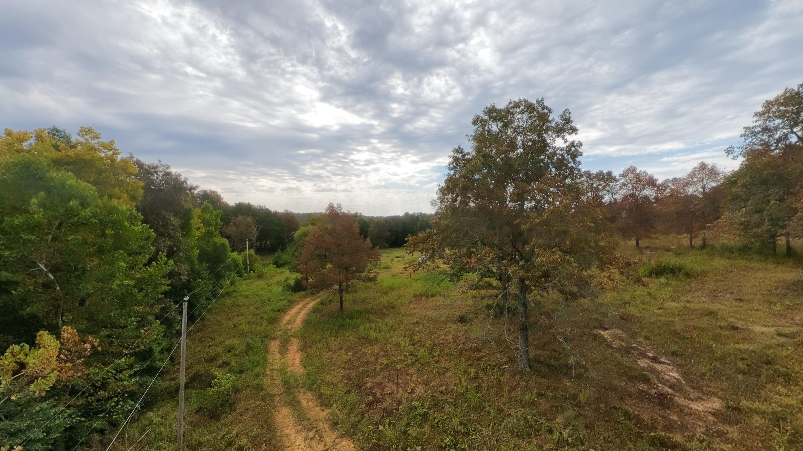 Photo 44 - Land for sale – 517  Sawmill Road  Brockwell, AR