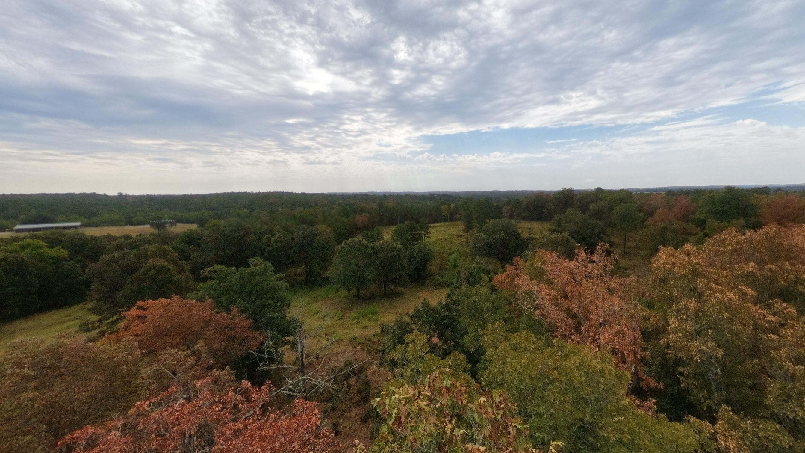 Photo 36 - Land for sale – 517  Sawmill Road  Brockwell, AR