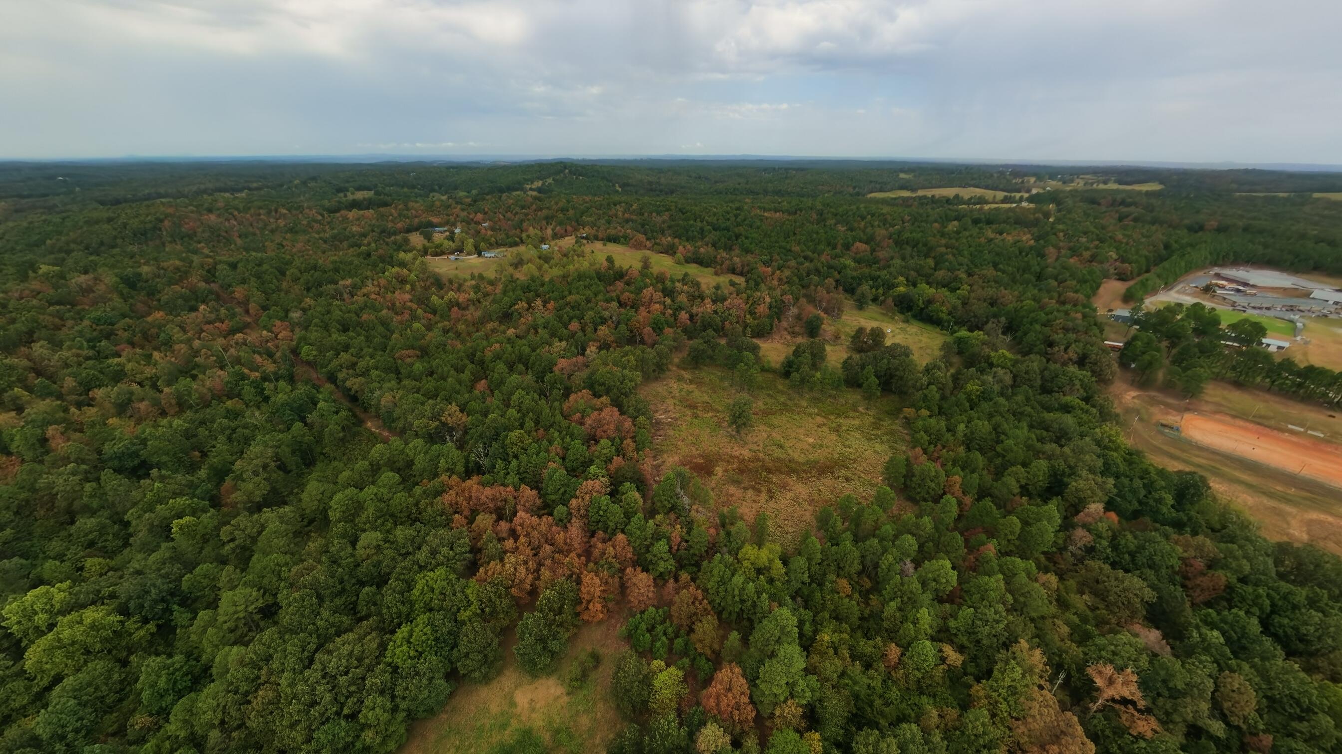 Photo 15 - Land for sale – 517  Sawmill Road  Brockwell, AR