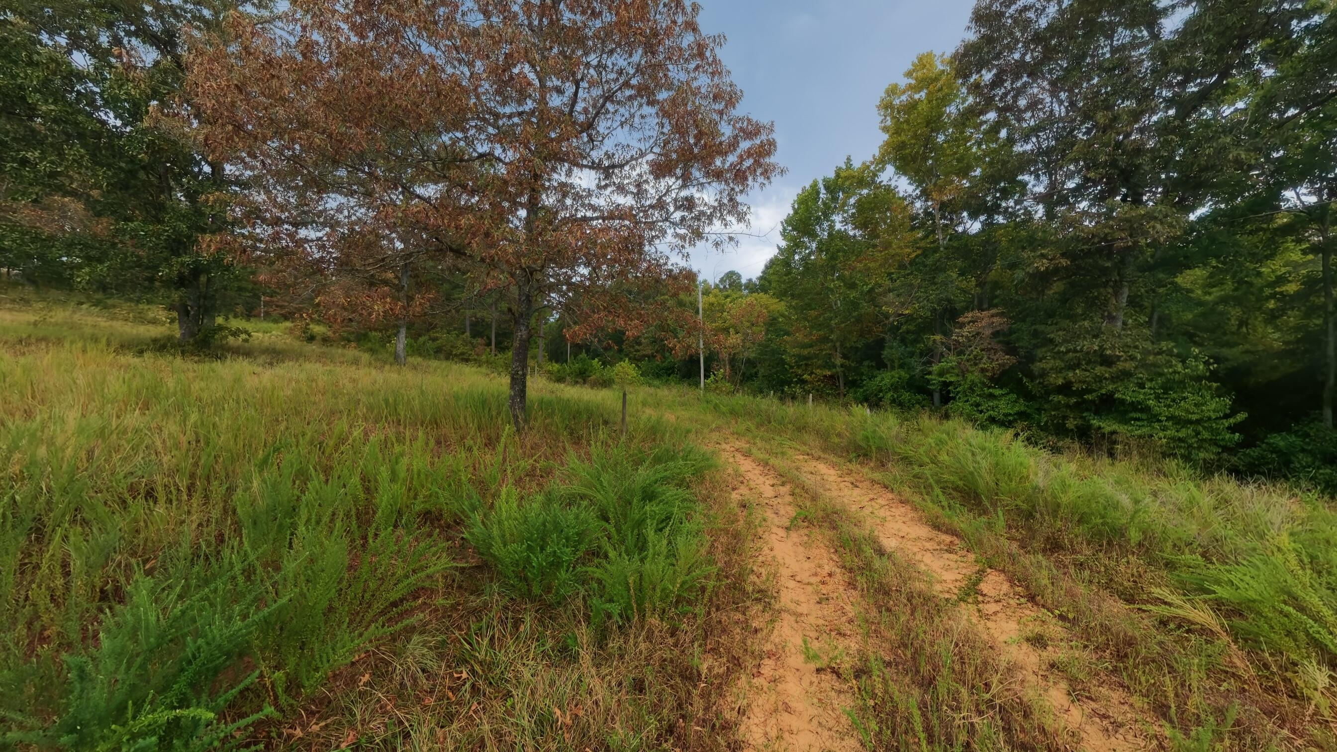 Photo 47 - Land for sale – 517  Sawmill Road  Brockwell, AR